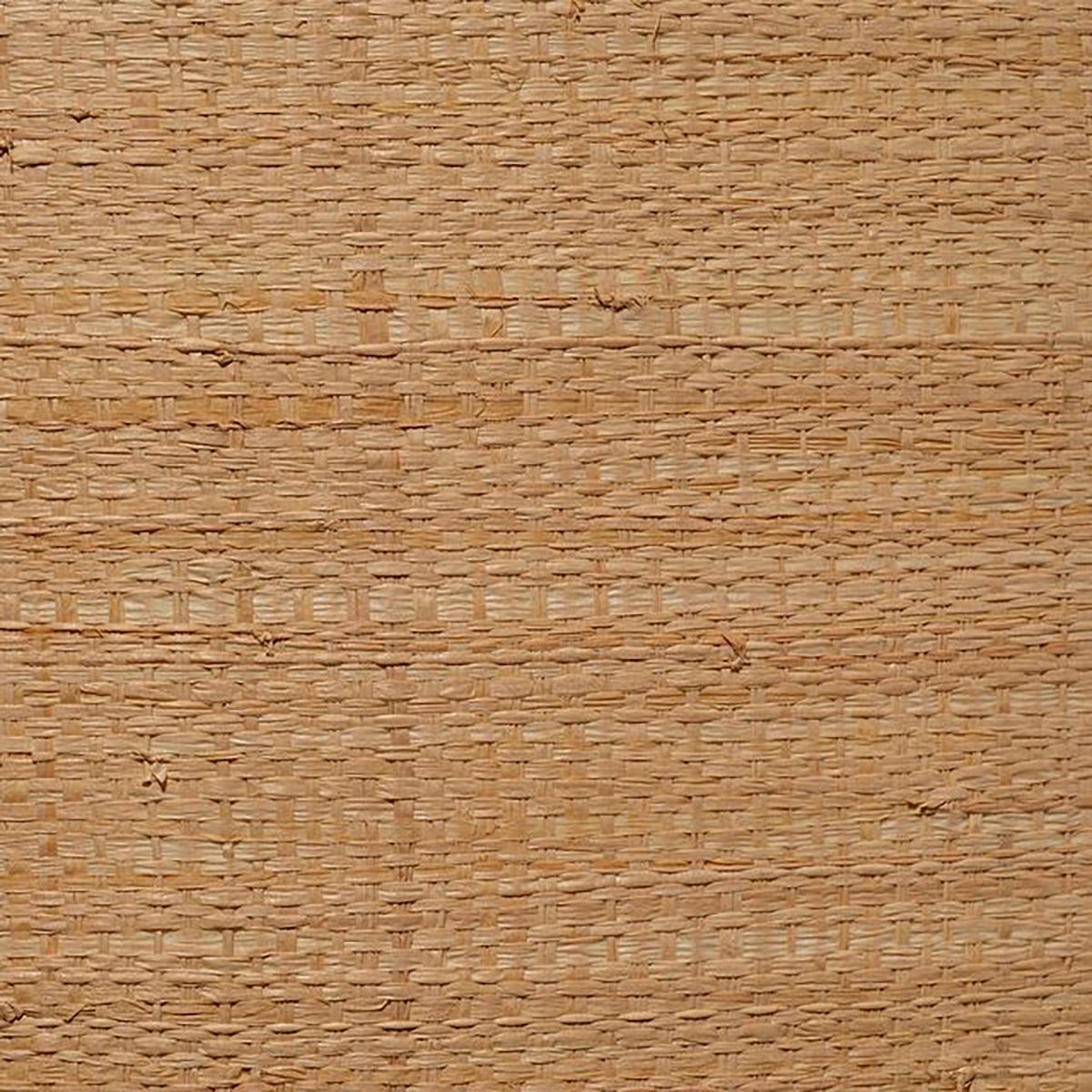 Jamie Young Drum Shade