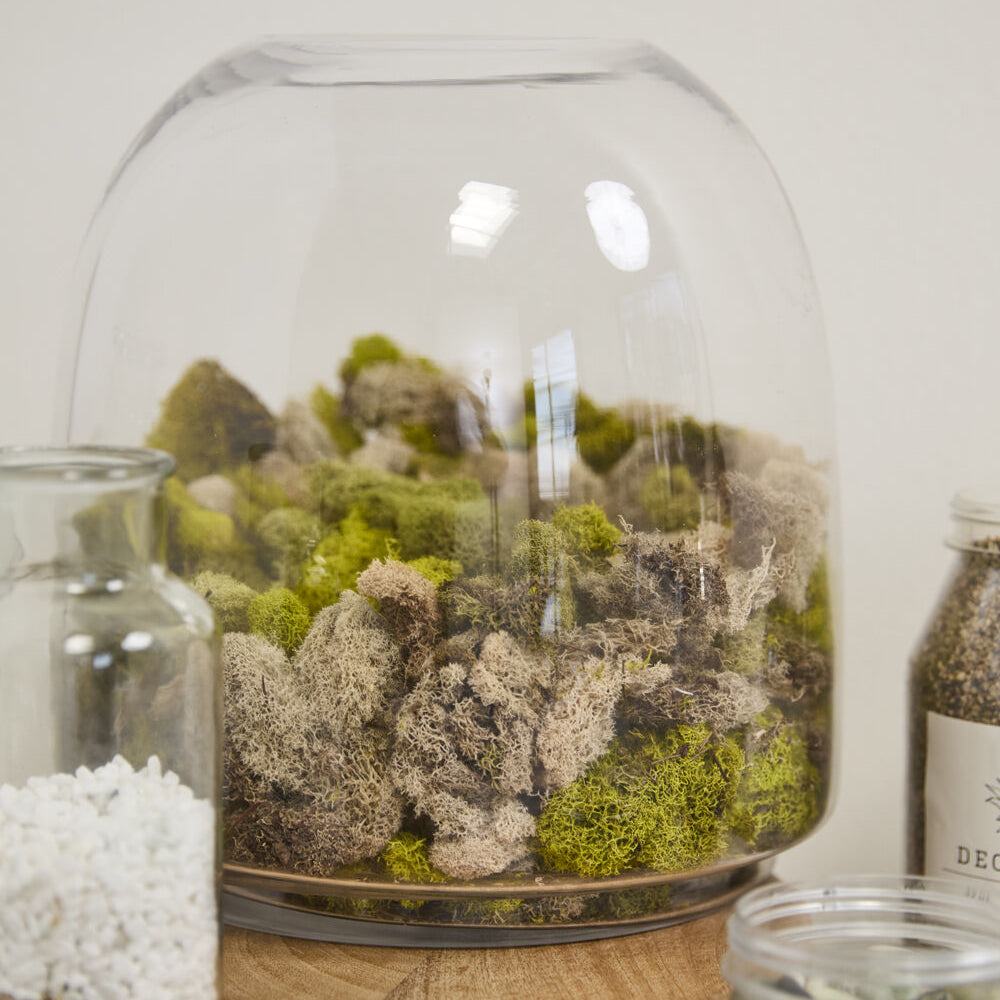 Oliver Terrarium as a versatile decor piece