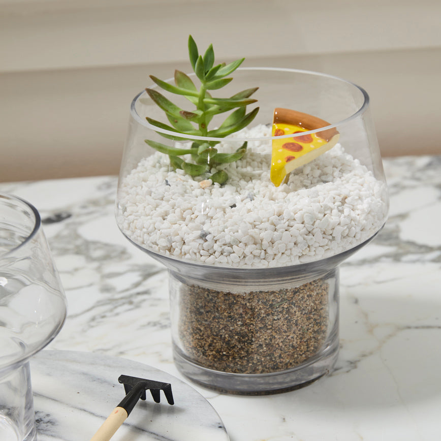 Ficton Terrarium