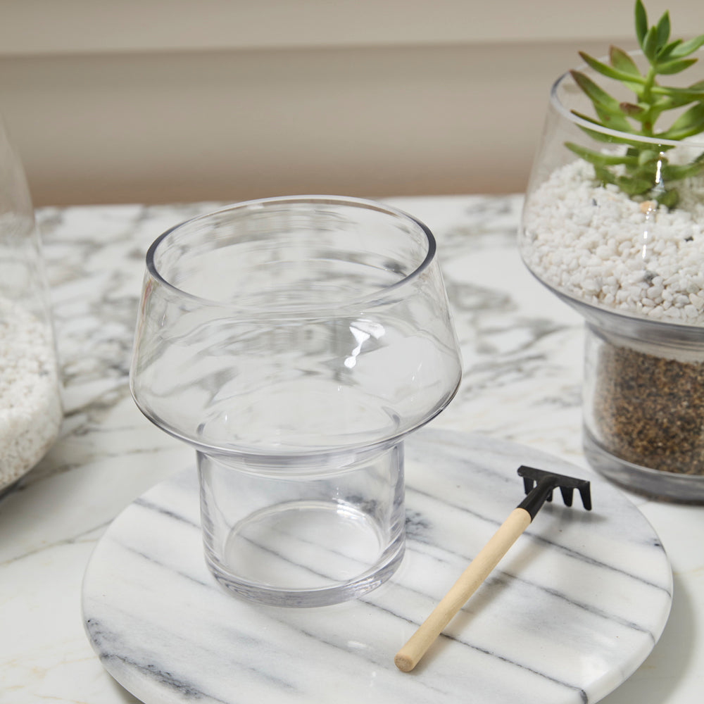 Ficton Terrarium