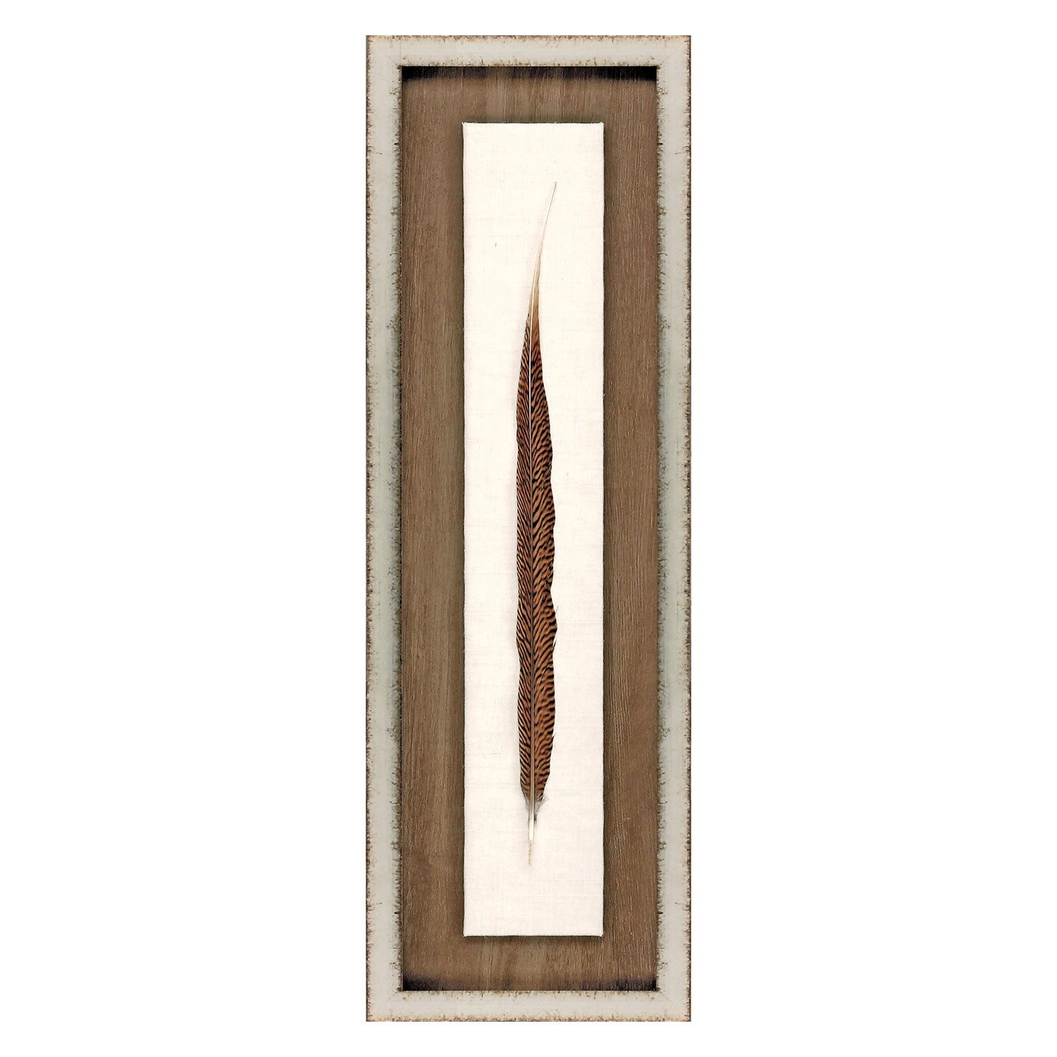 Inspire Studio Pheasant Feather Mixed Media Framed Art