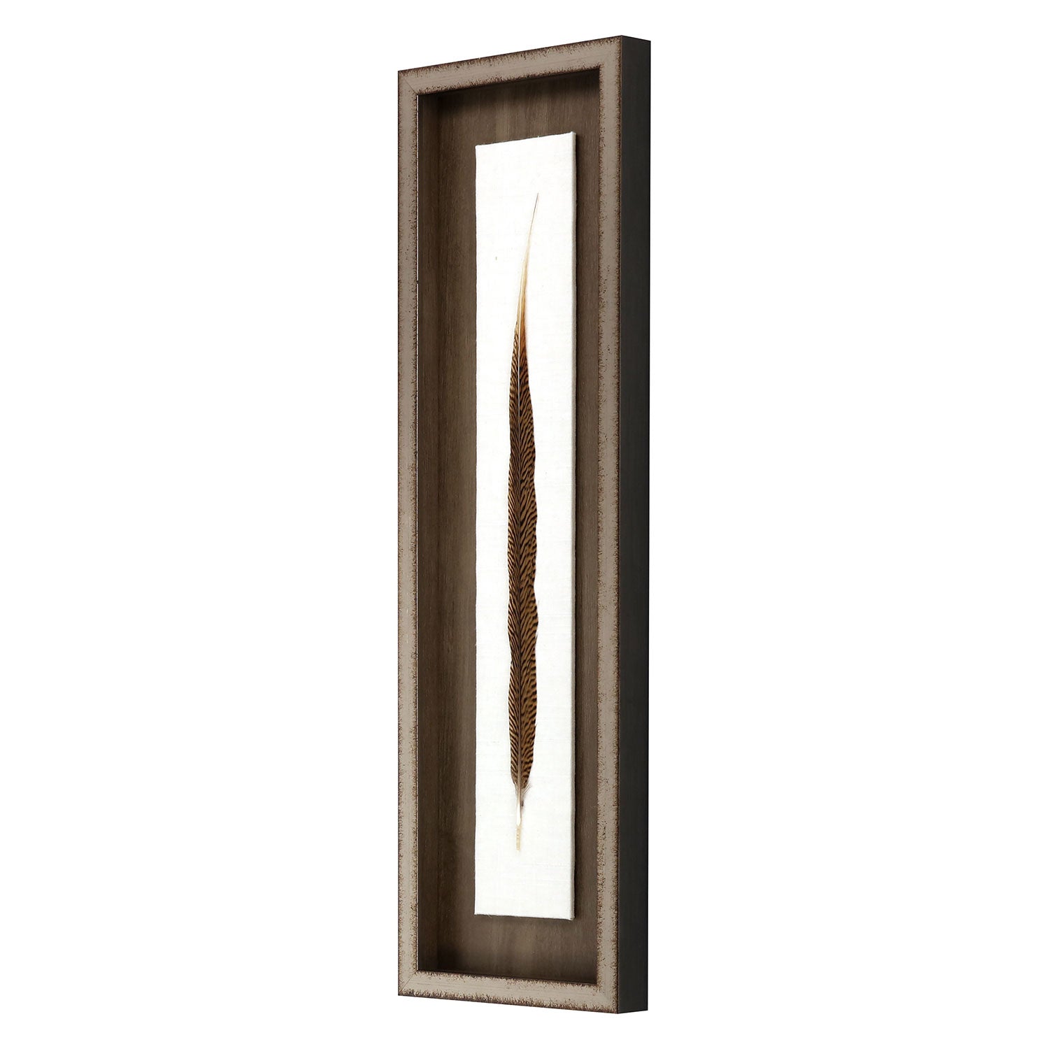 Inspire Studio Pheasant Feather Mixed Media Framed Art