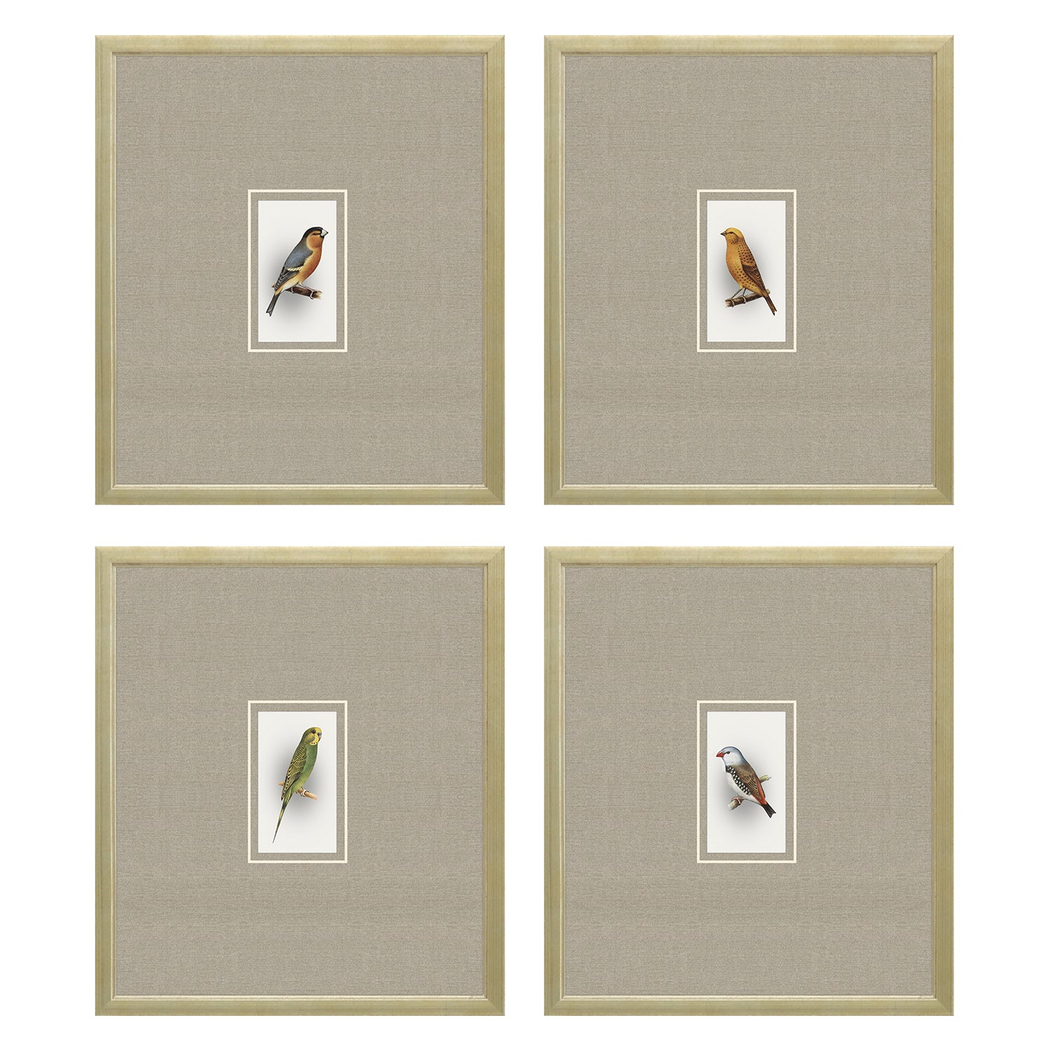 Unknown Here Birdie I Framed Art Set of 4