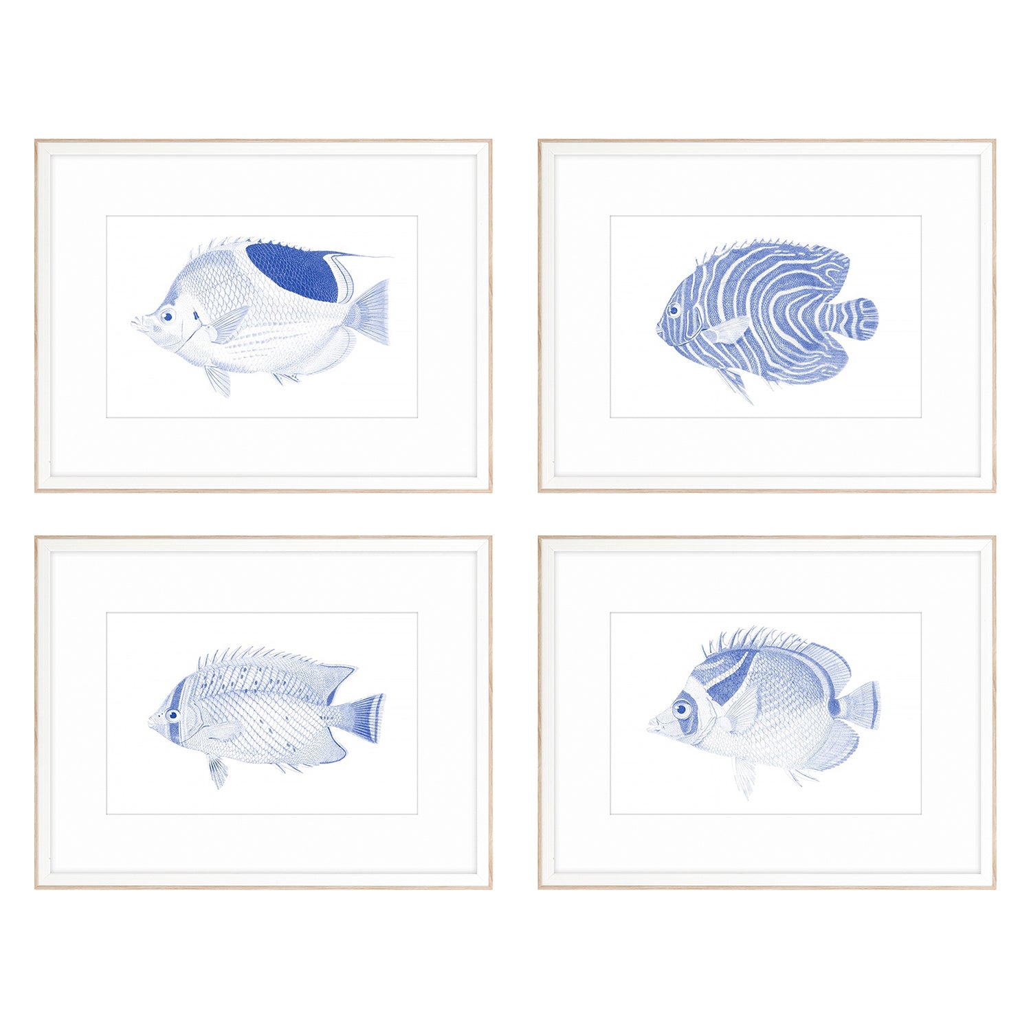 Vision Studio Blue Fish Framed Art Set of 4