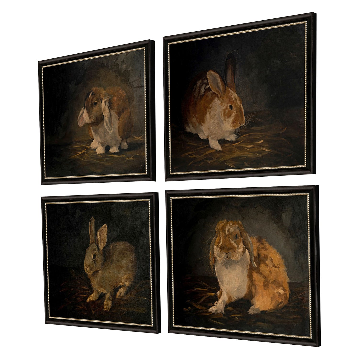 Parsons Resting Bunny Framed Art Set of 4