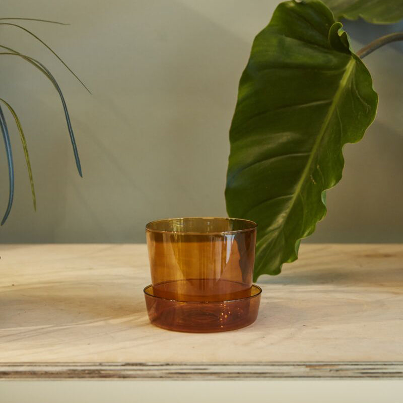 Glass Pot with Saucer