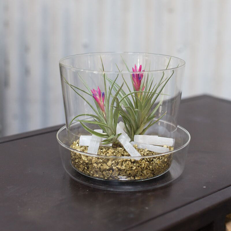 Glass Pot with Saucer