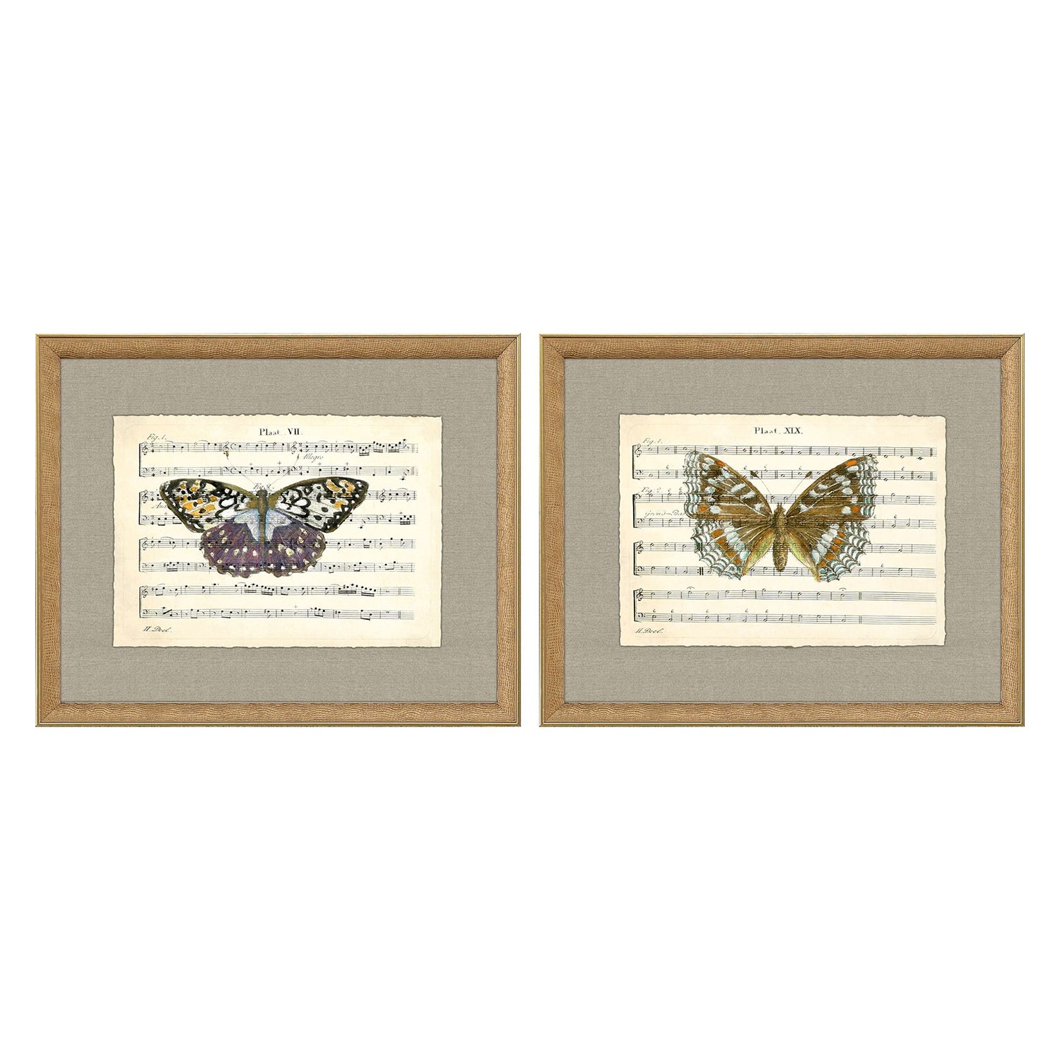 Musical Butterflies Framed Art Set of 2