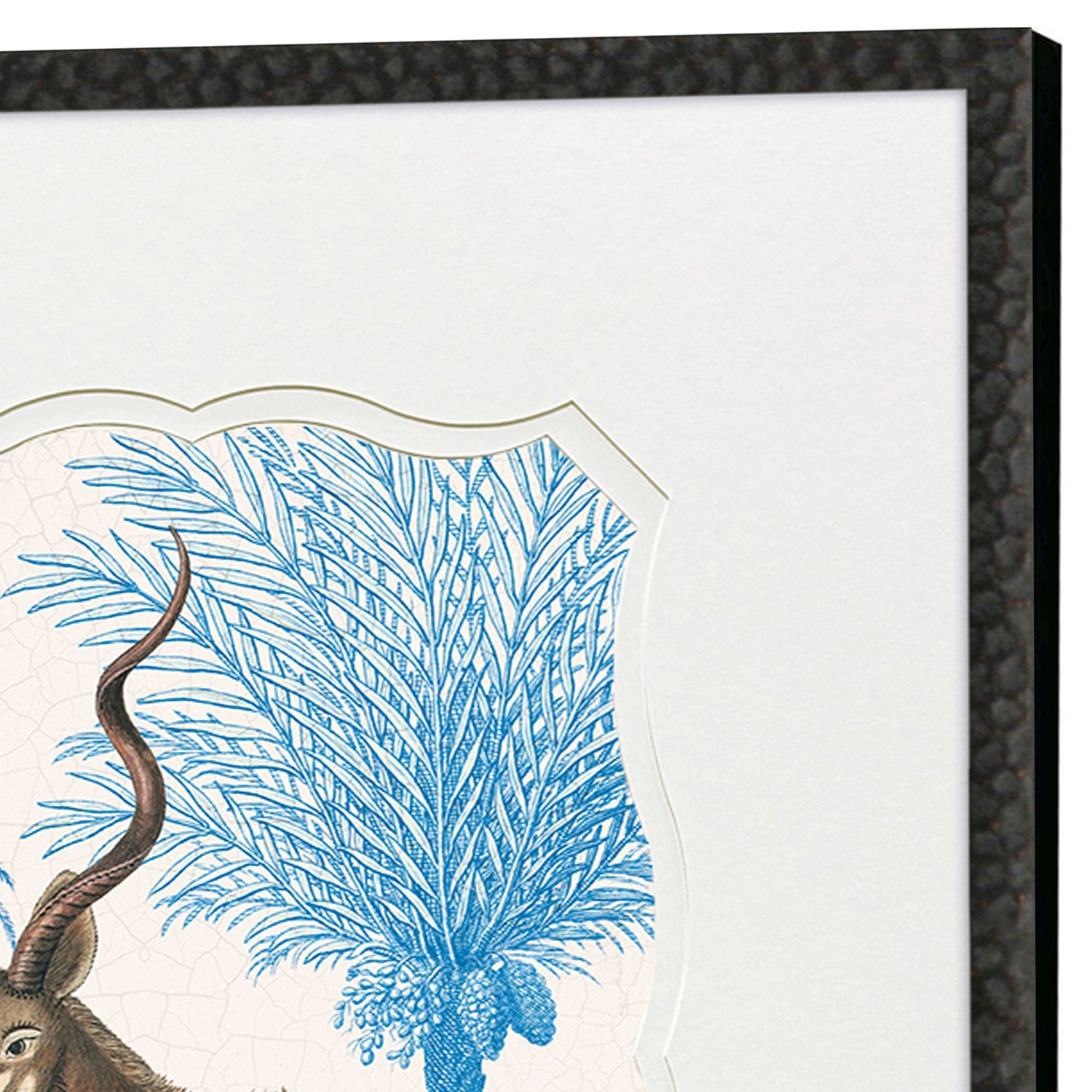 Drammis Wild Wonderland I Framed Artwork Set of 2