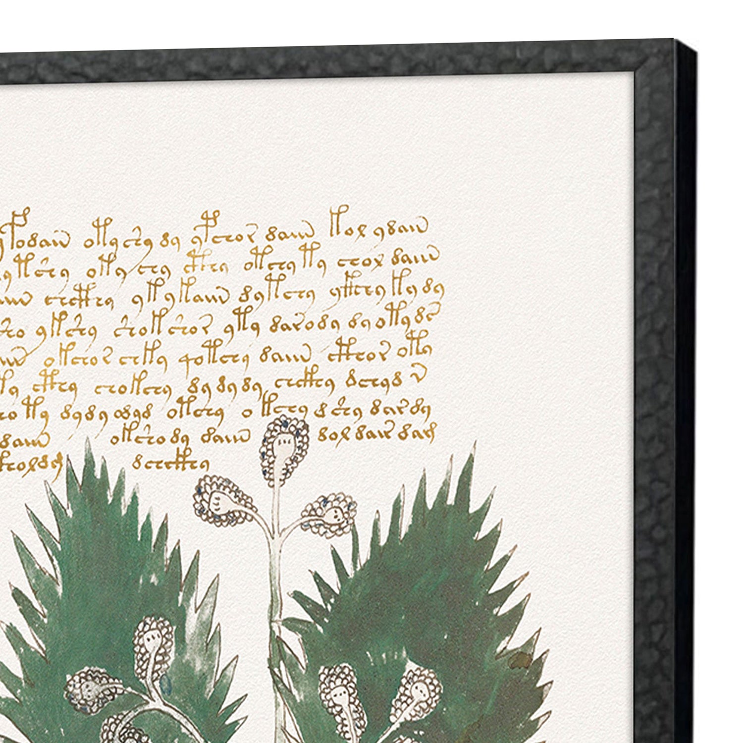 Renaissance Magial Botany Framed Artwork Set of 4