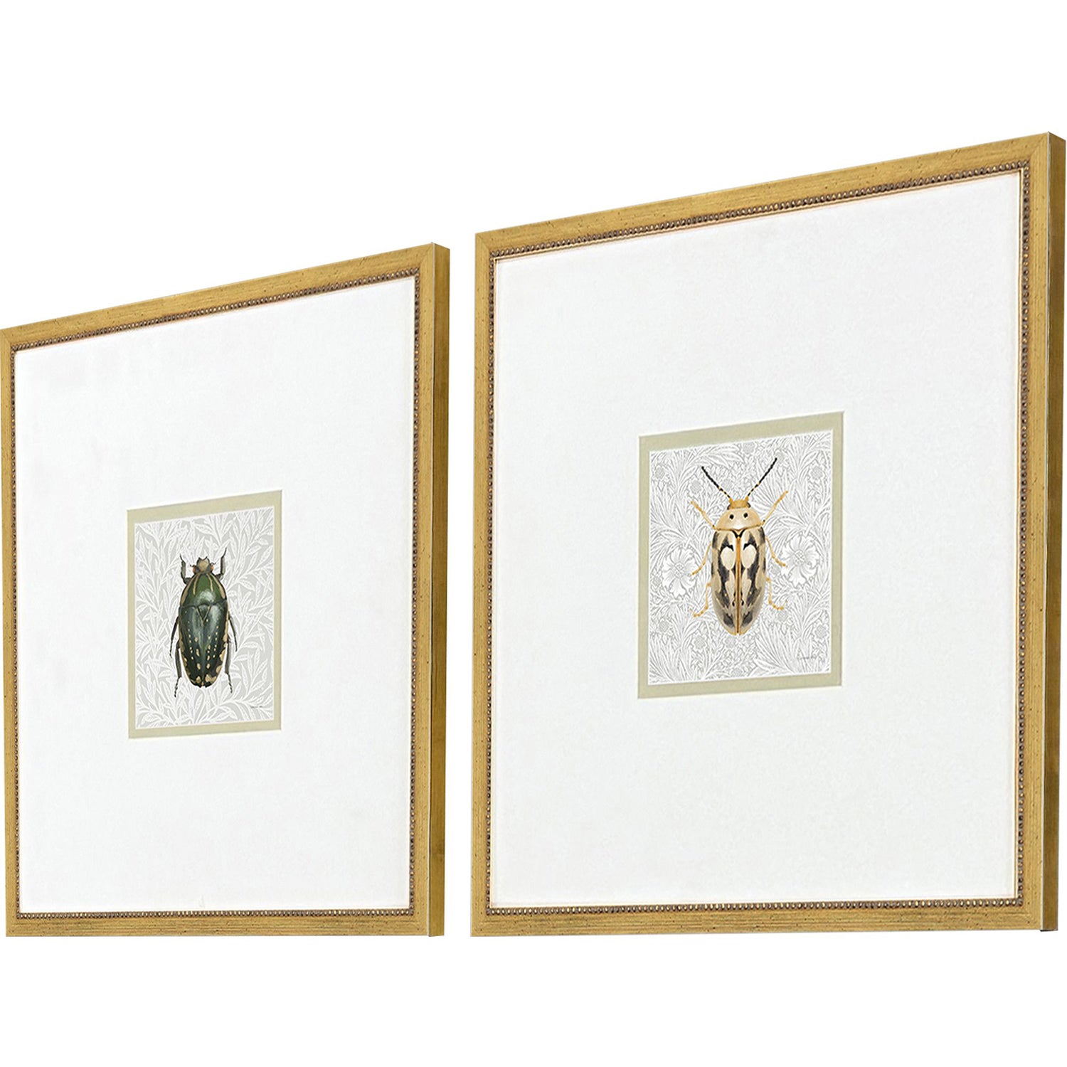 Nai Beetles Framed Artwork Set of 2