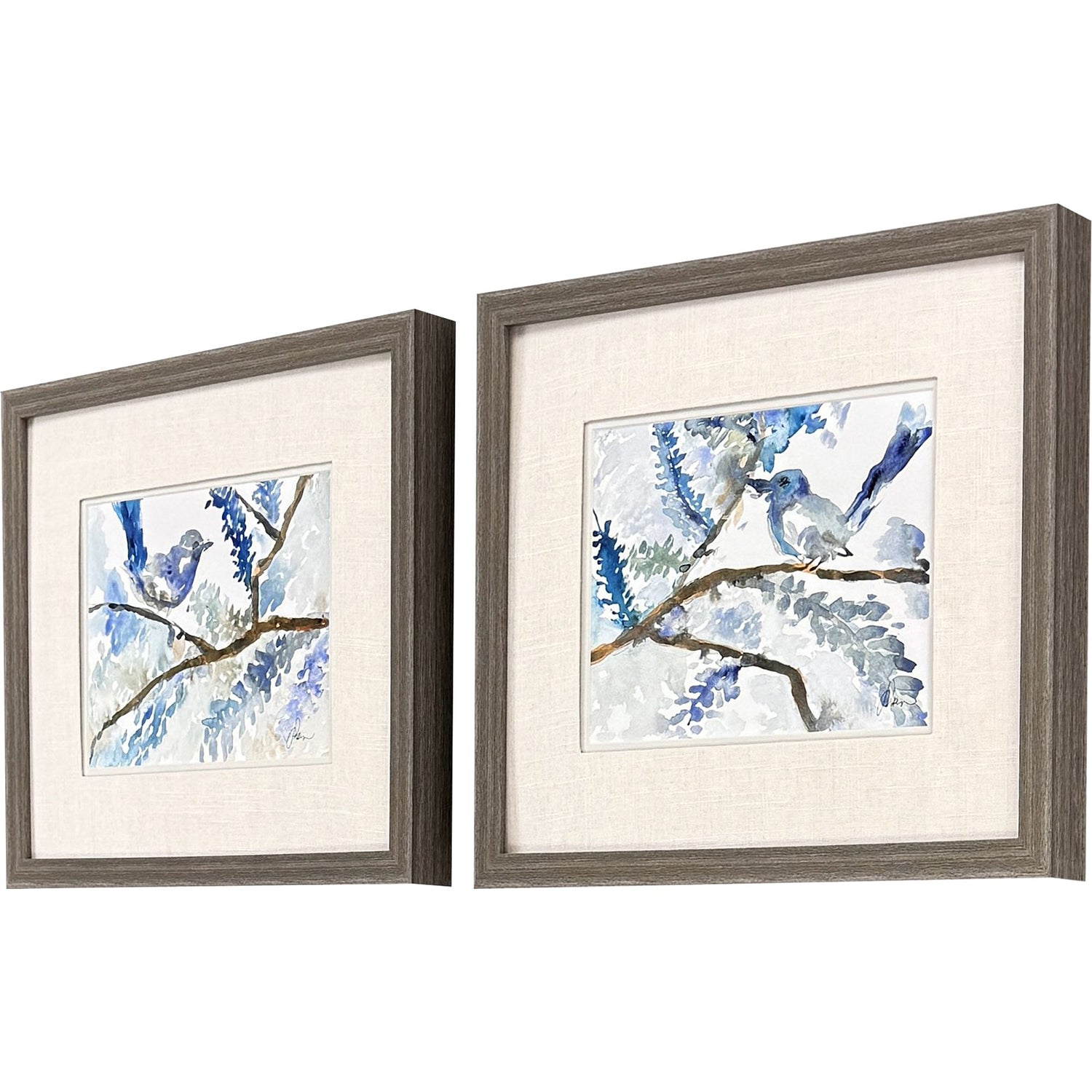 Adamson Ray Here Birdie Birdie Framed Artwork Set of 2