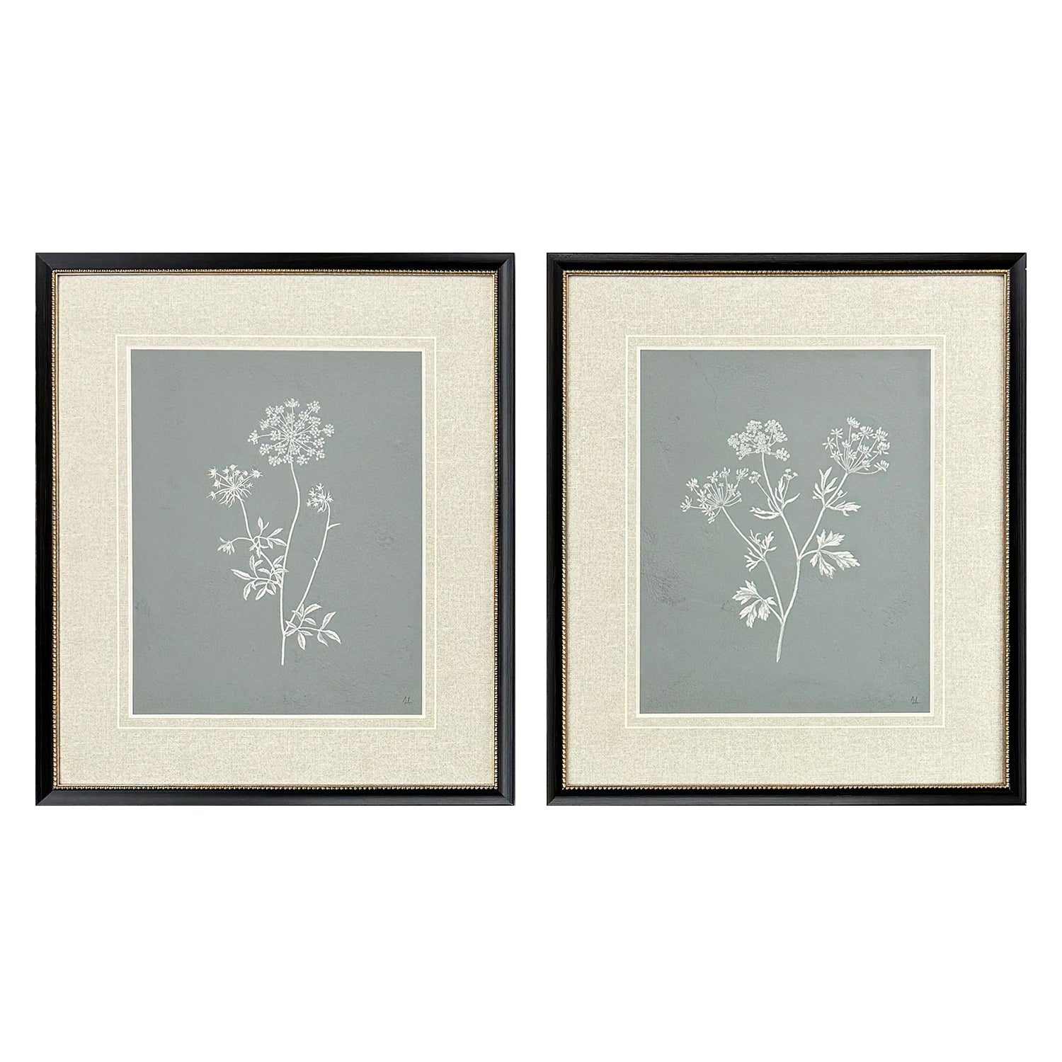 Adams Natures Gift I Framed Artwork Set of 2