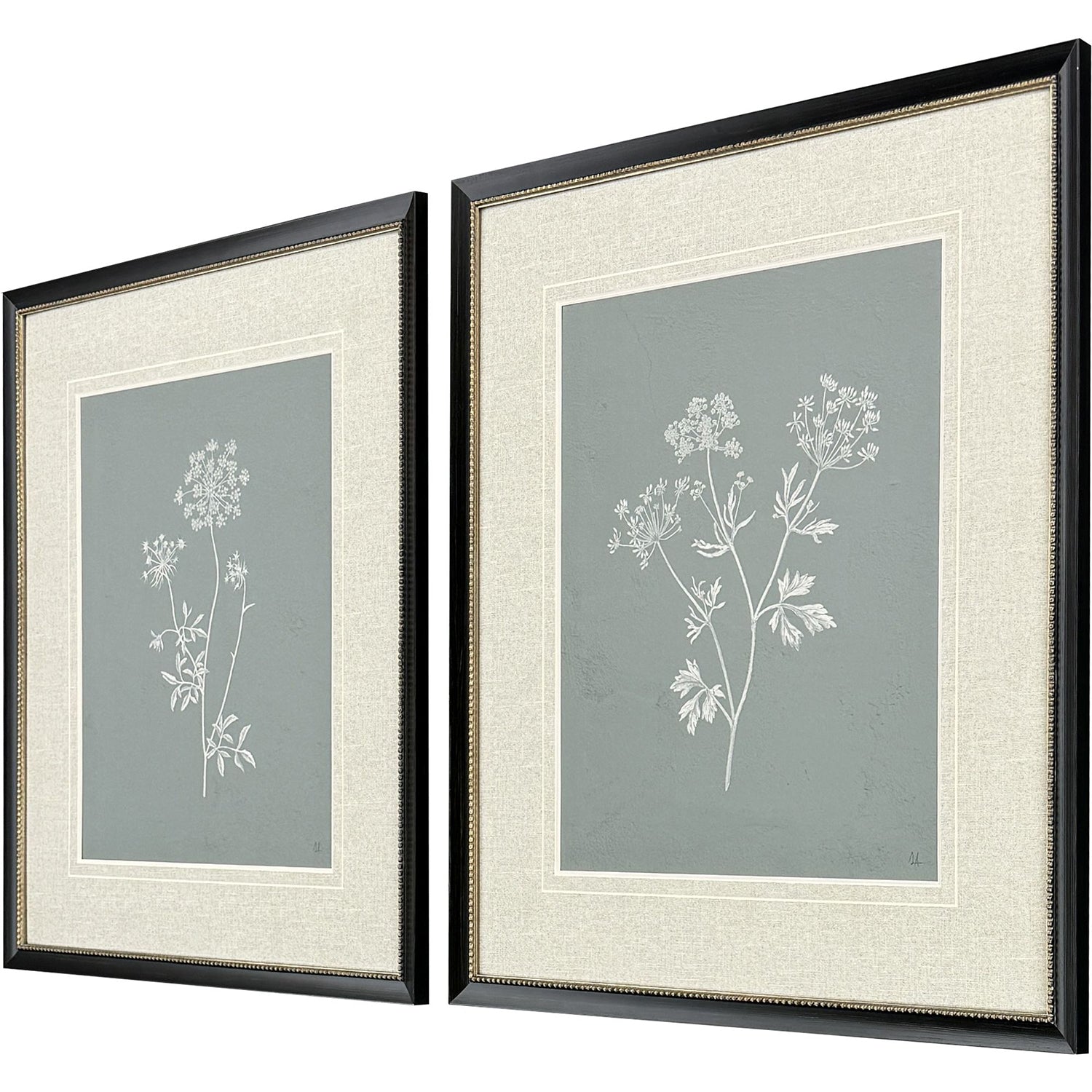 Adams Natures Gift I Framed Artwork Set of 2