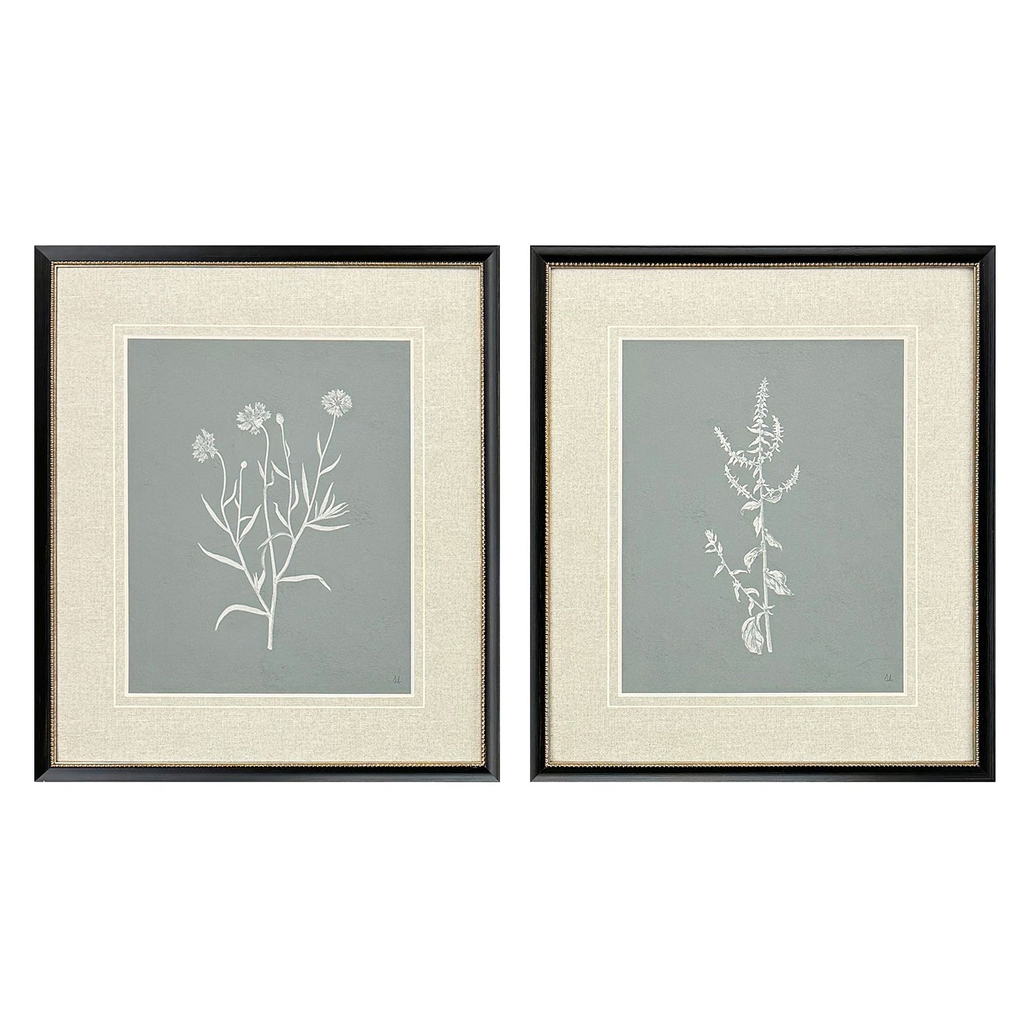 Adams Natures Gift II Framed Artwork Set of 2