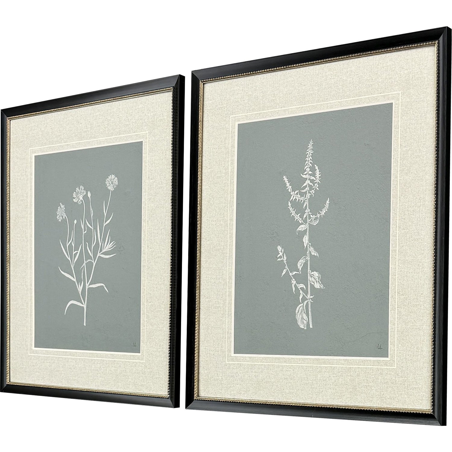 Adams Natures Gift II Framed Artwork Set of 2