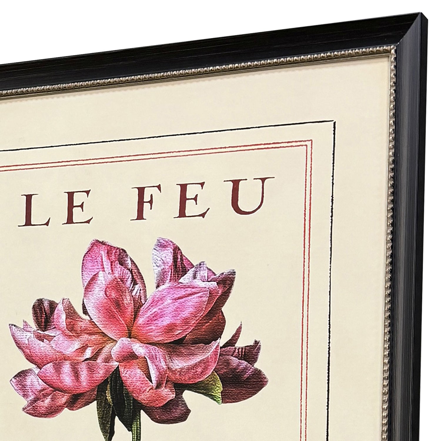 Burney Le Fleur I Framed Artwork Set of 2