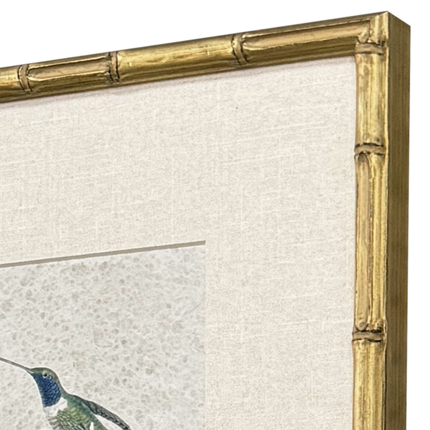 Unknown Antique Hummingbirds Framed Artwork Set of 4