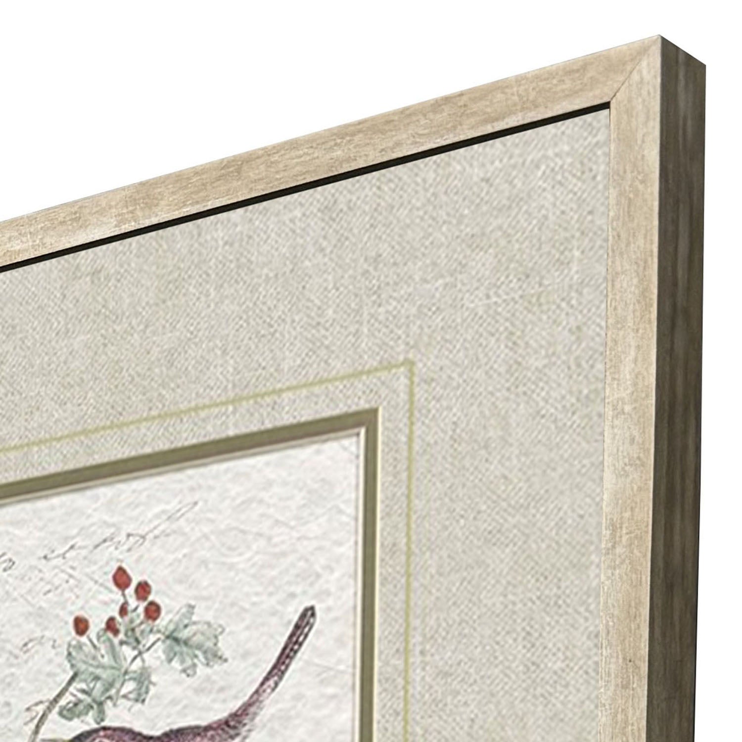 Unknown Bird Variety Framed Artwork Set of 2