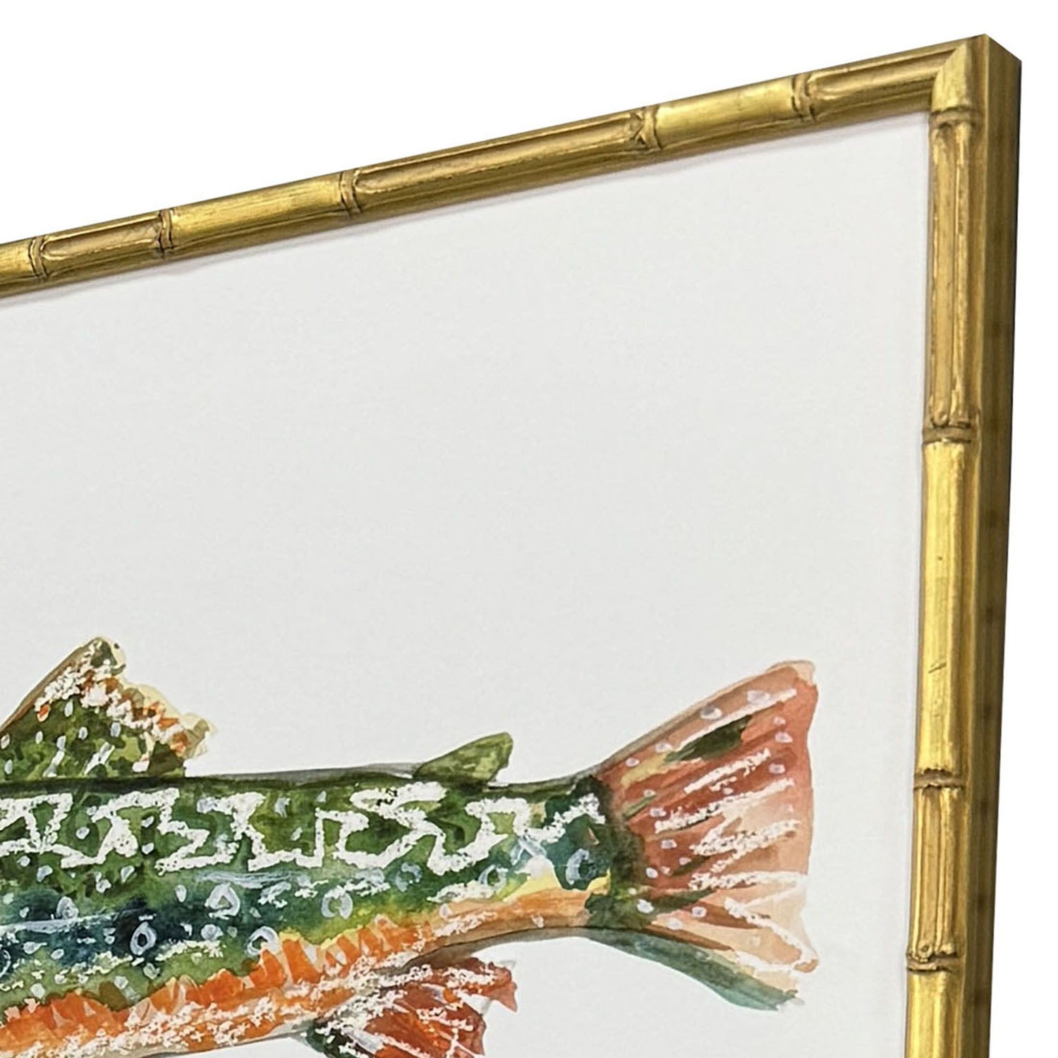 Owens Colorful Trout Framed Artwork Set of 4
