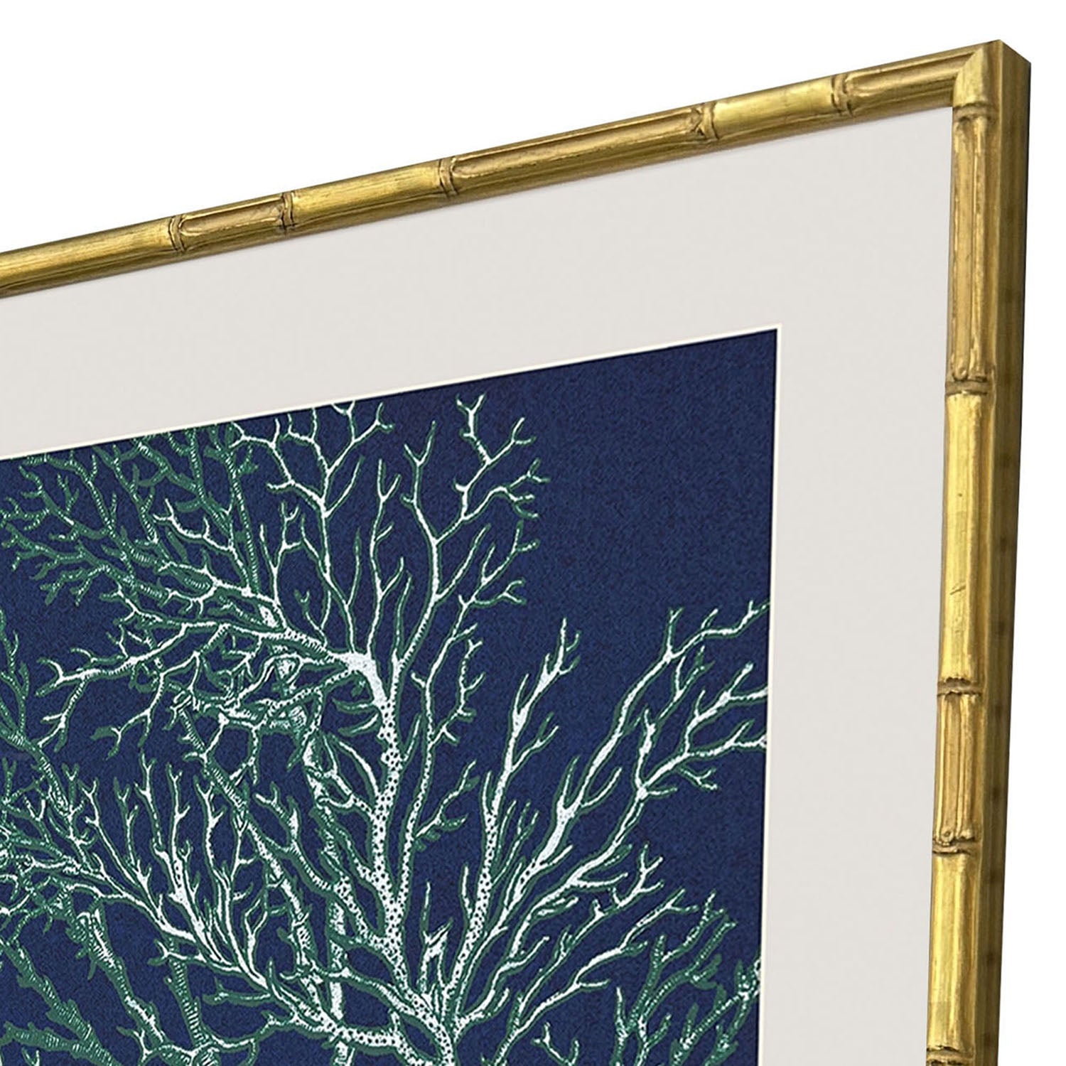 Giclee Studio Sea Garden Framed Artwork Set of 4