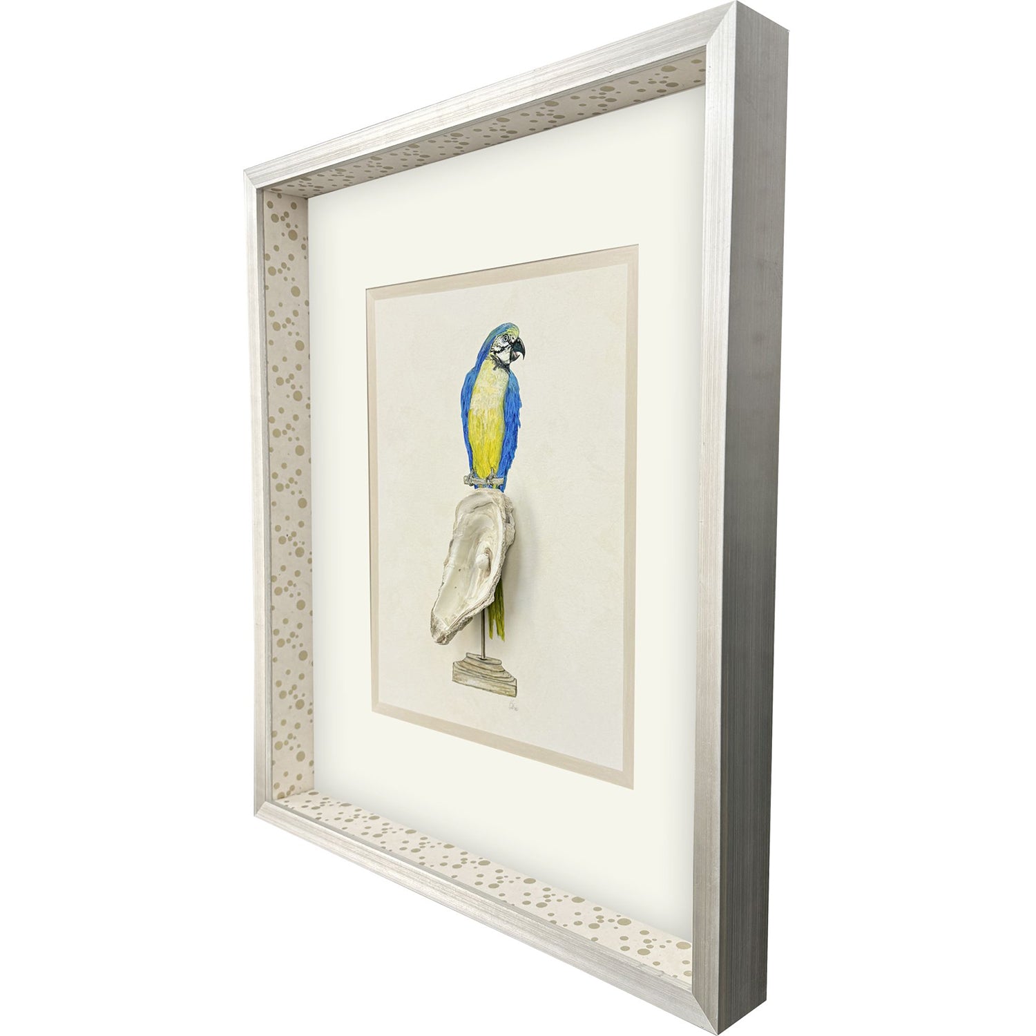 PopJoy Studio Treasure Parrot I Framed Artwork