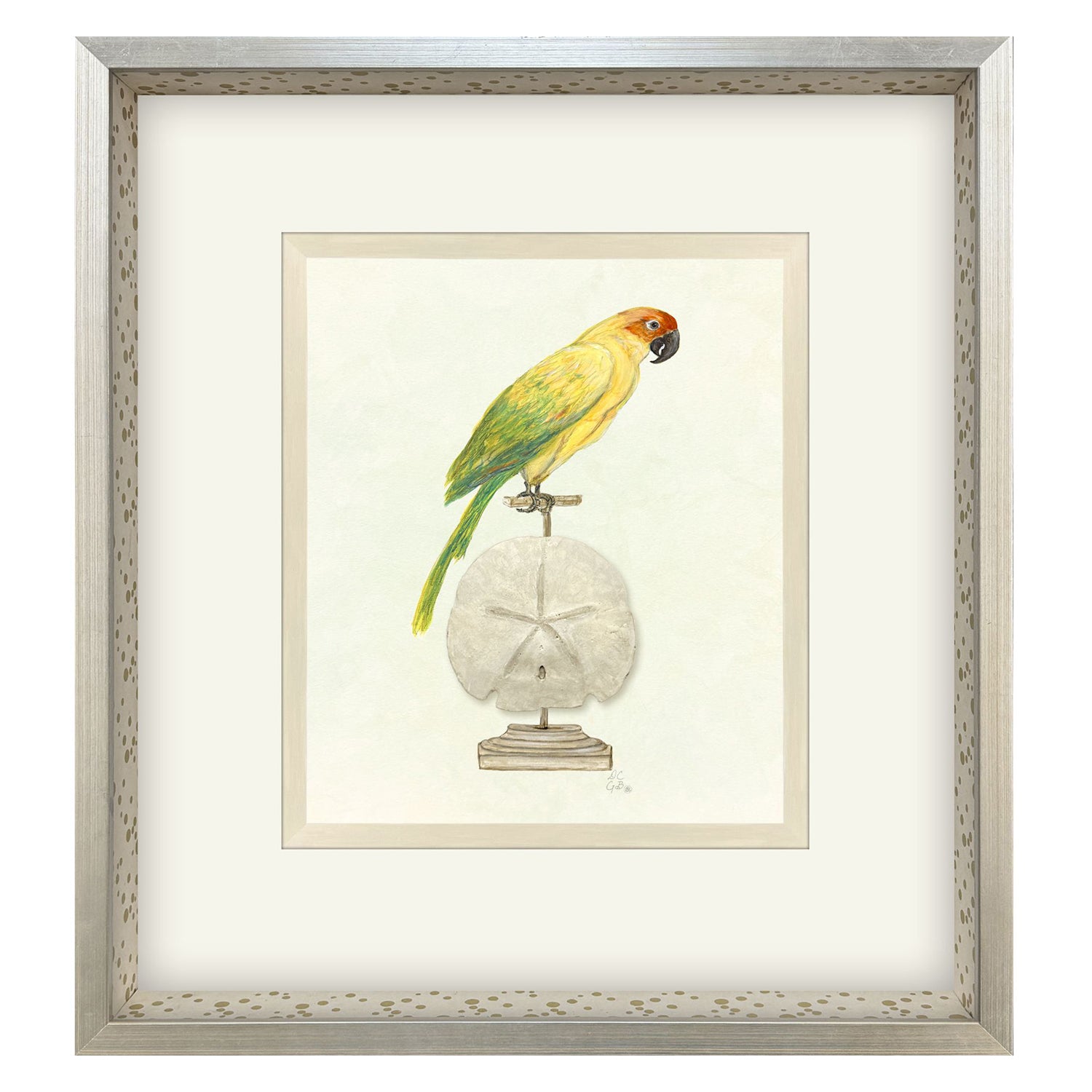 PopJoy Studio Treasure Parrot III Framed Artwork