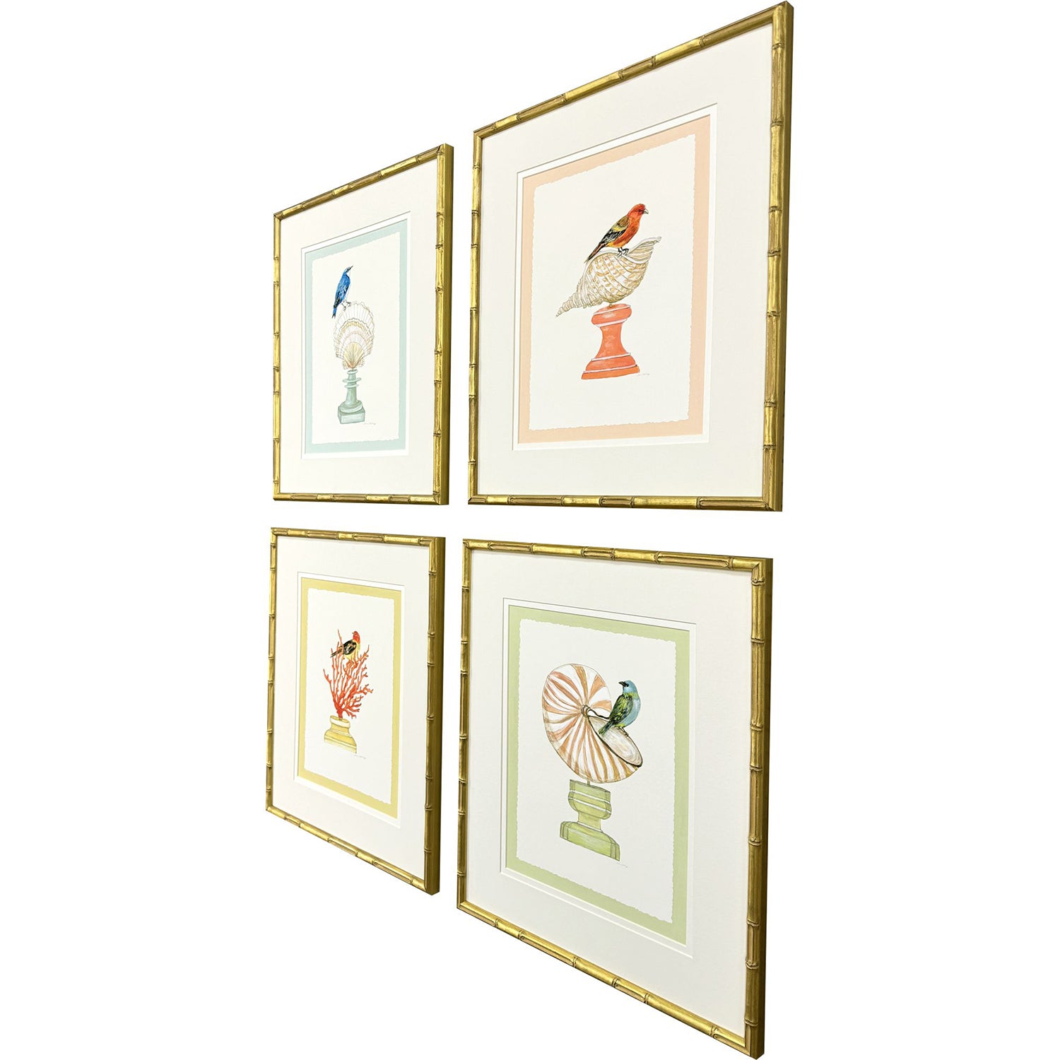 Clayton Bird with Shell Framed Artwork Set of 4