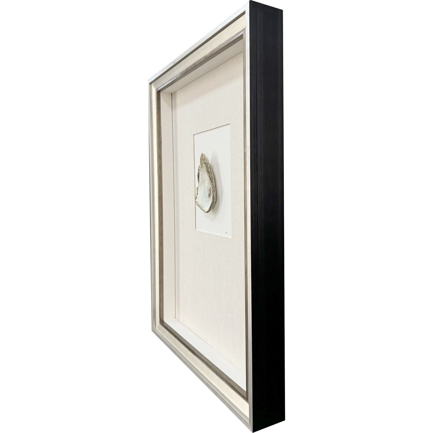 Baker Oyster in Paradise I Framed Artwork