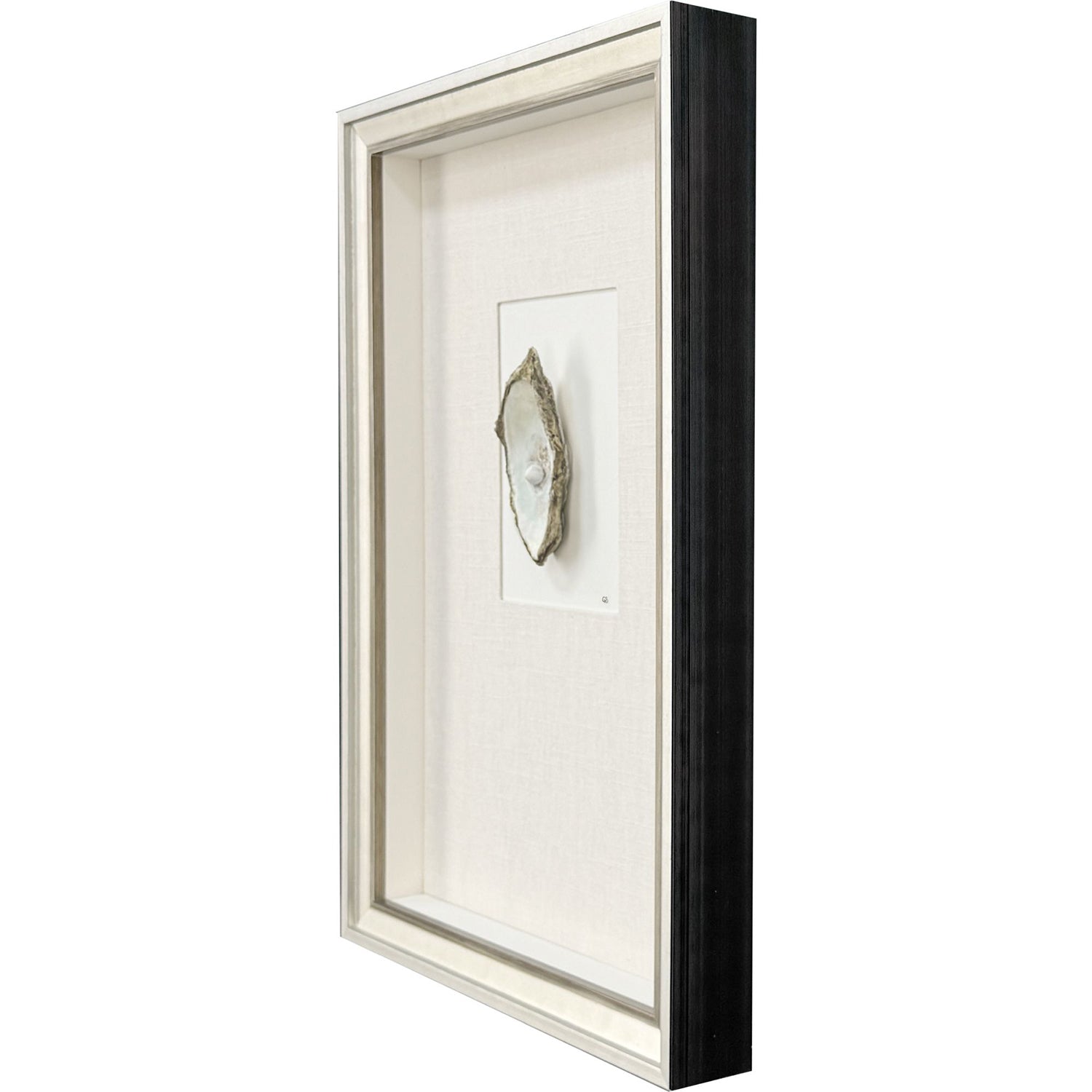 Baker Oyster in Paradise III Framed Artwork