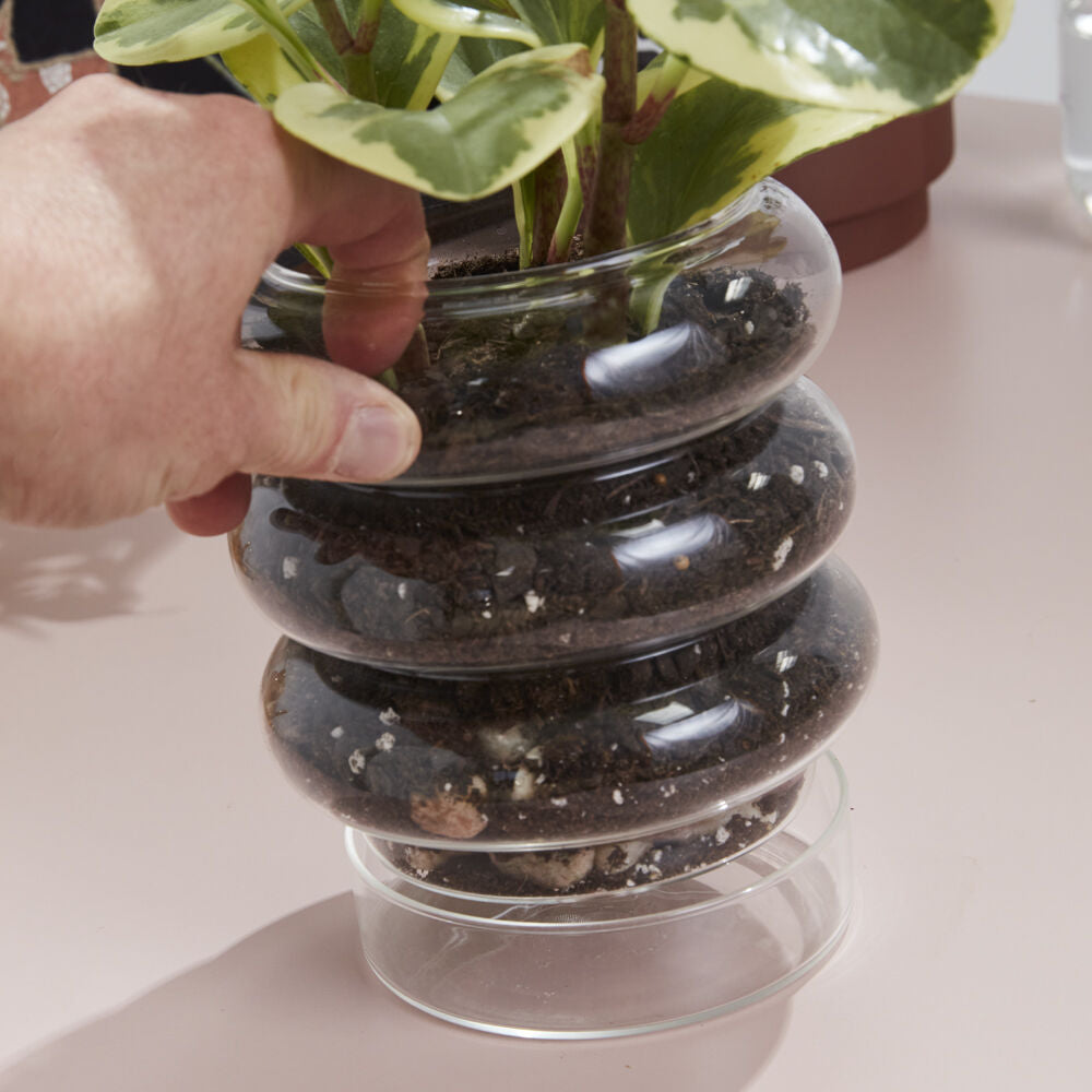 Stacked Rings Glass Pot with Saucer styled on a home surface