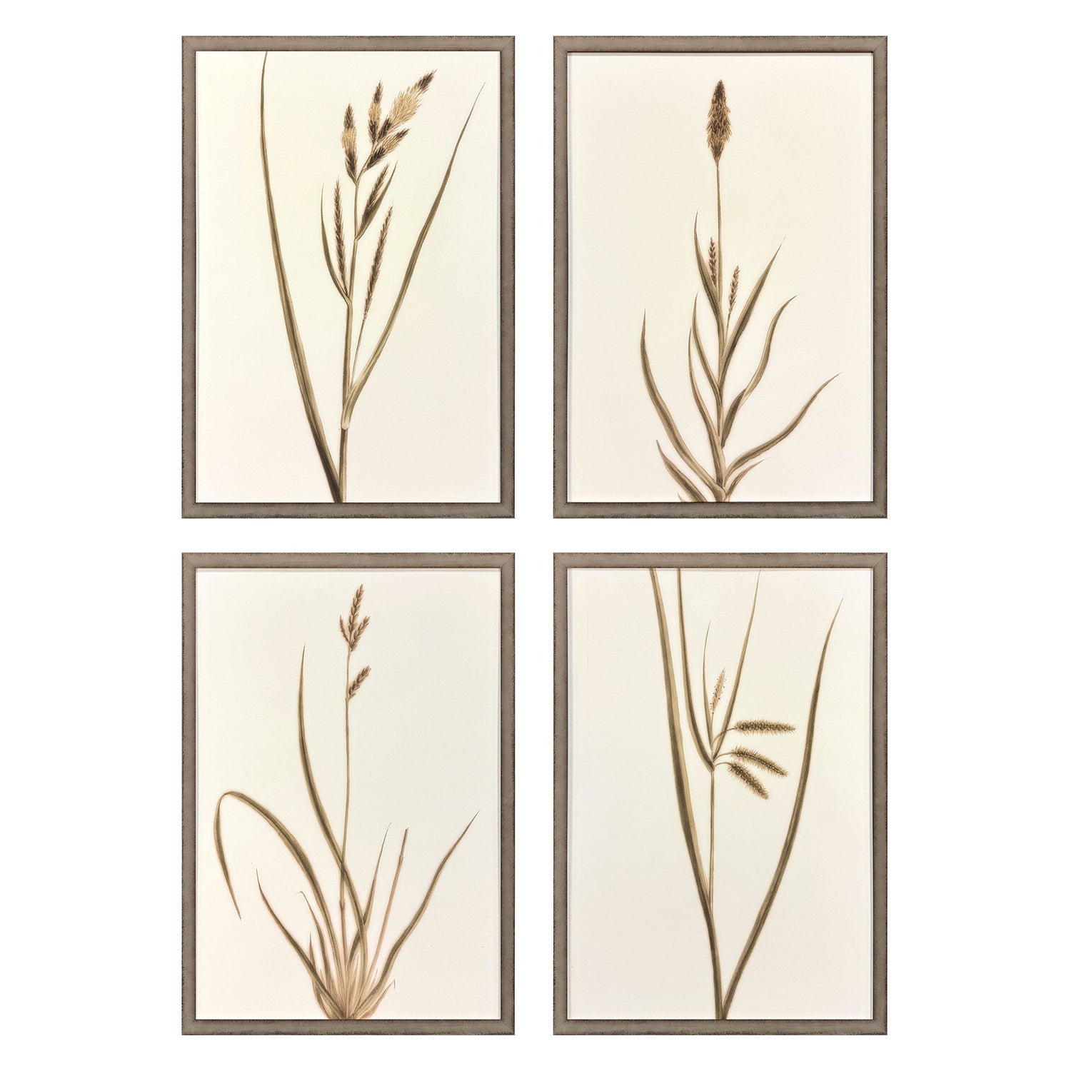 Giclee Studio Varying Grasses Framed Artwork Set of 4