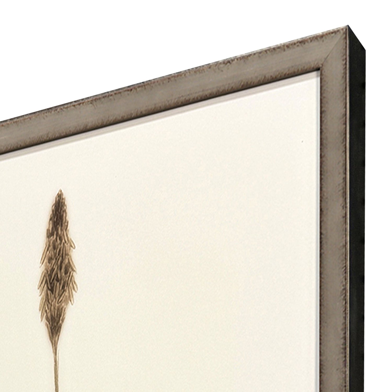 Giclee Studio Varying Grasses Framed Artwork Set of 4