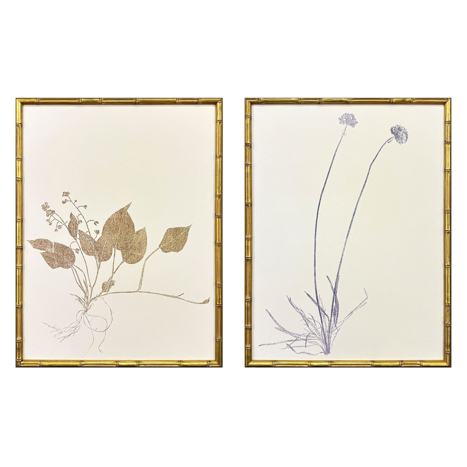 Bell Floral Trace II Framed Artwork Set of 2
