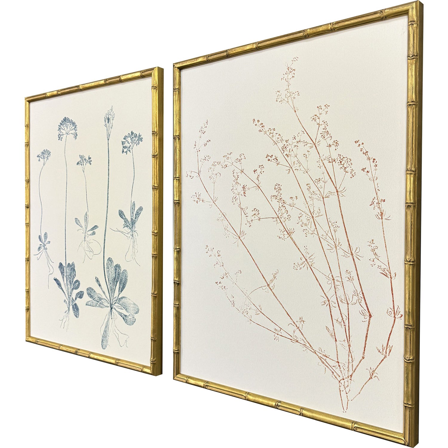 Bell Floral Trace III Framed Artwork Set of 2