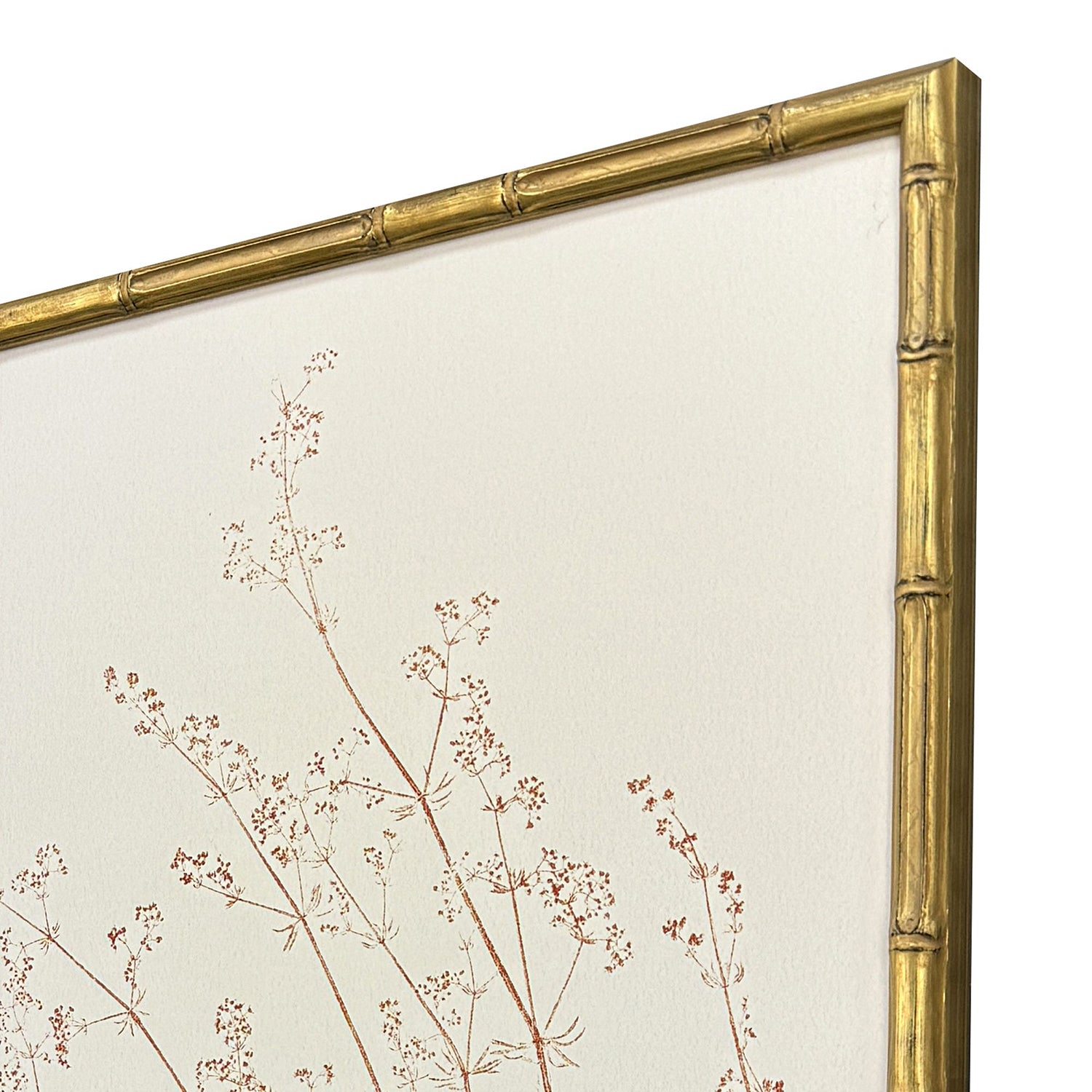 Bell Floral Trace III Framed Artwork Set of 2
