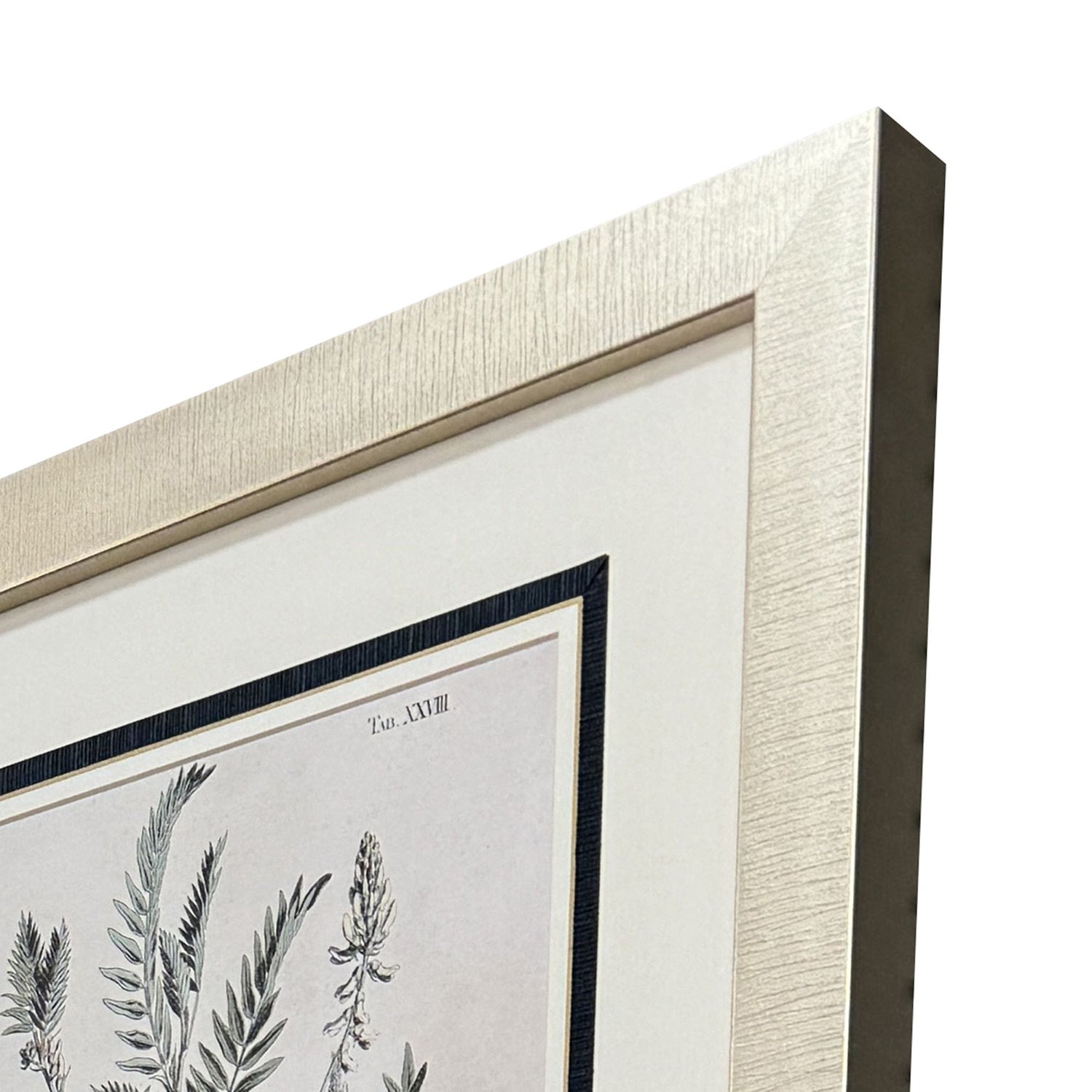 Martini Astragalorum Framed Artwork Set of 4