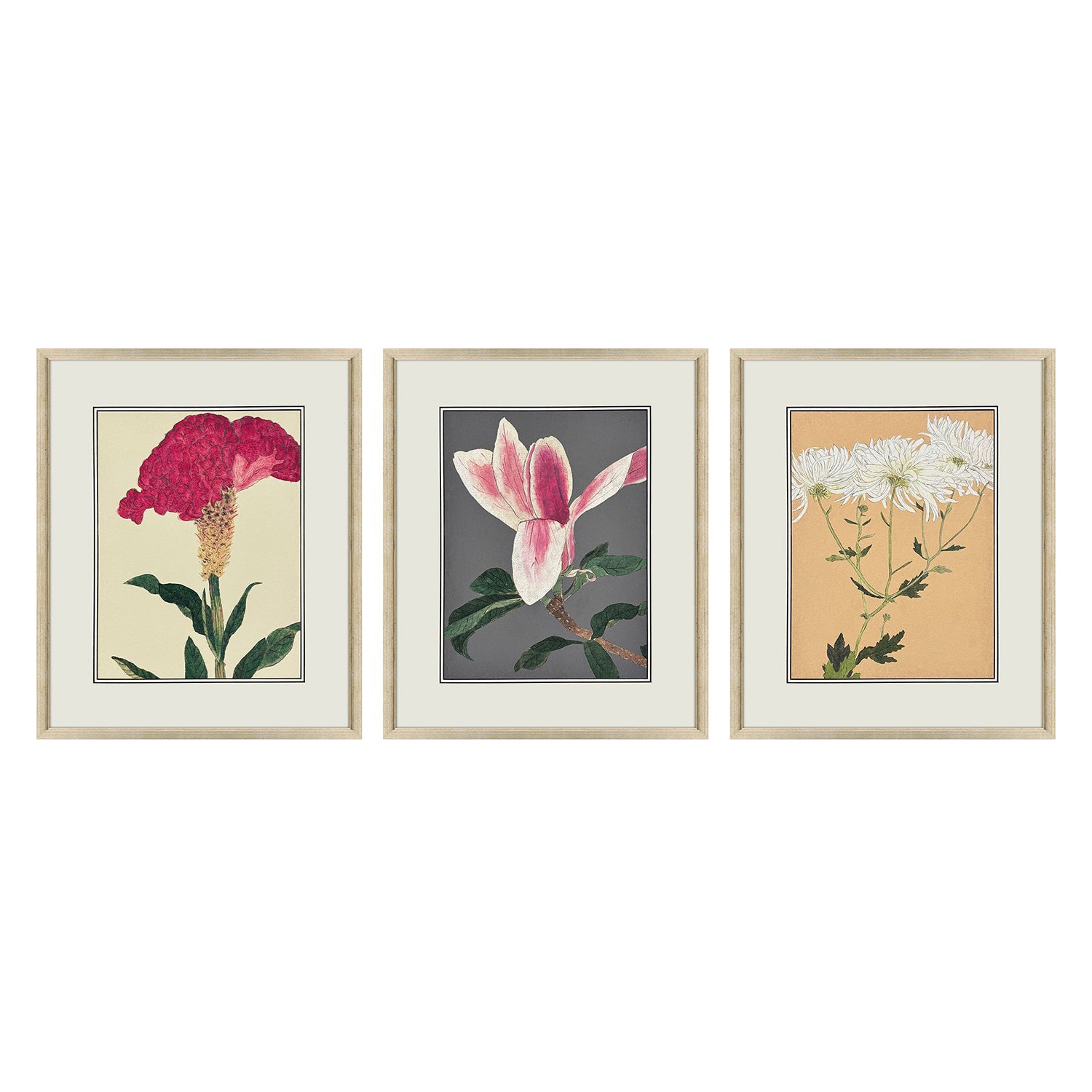 Drammis Enchanted Blooms I Framed Artwork Set of 3