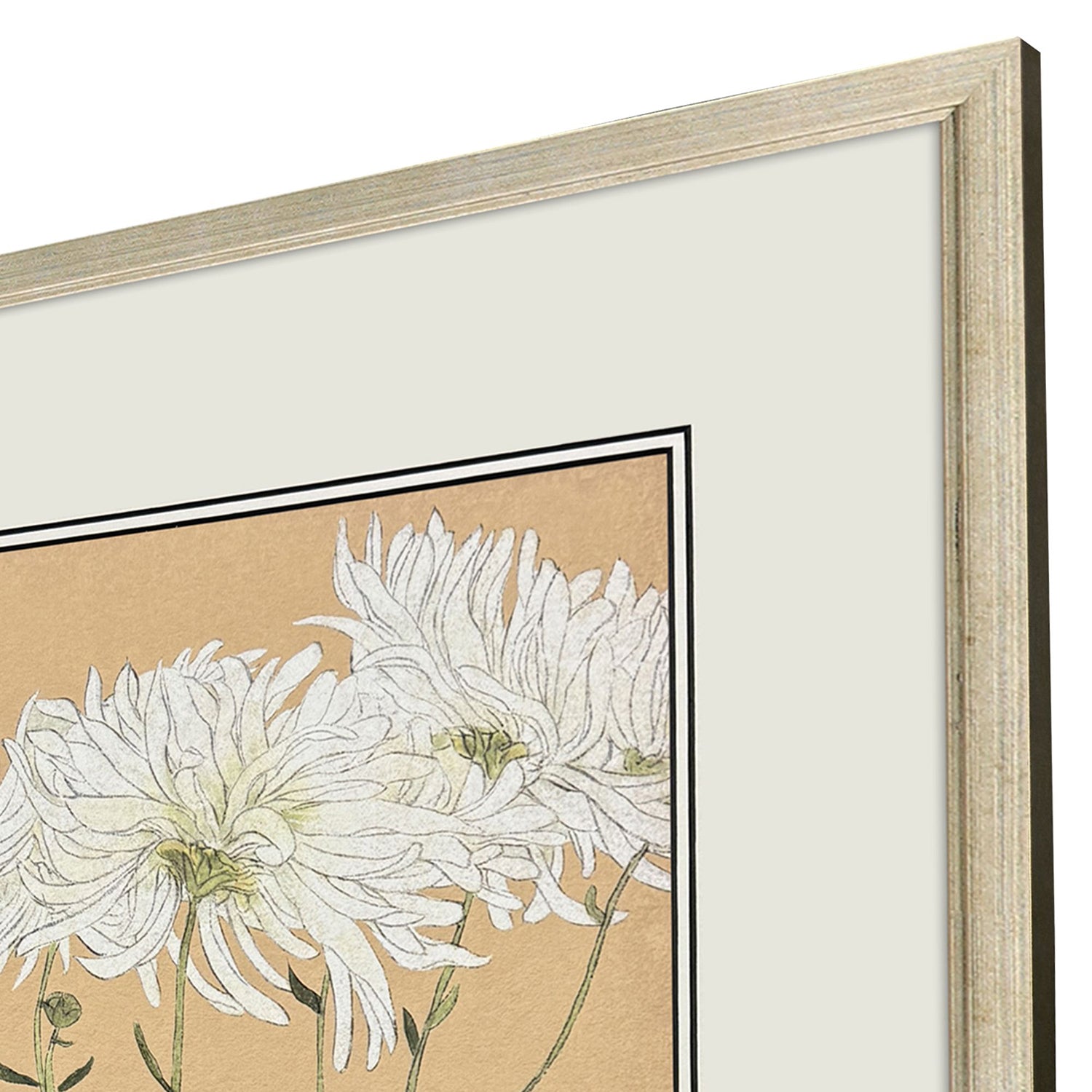 Drammis Enchanted Blooms I Framed Artwork Set of 3