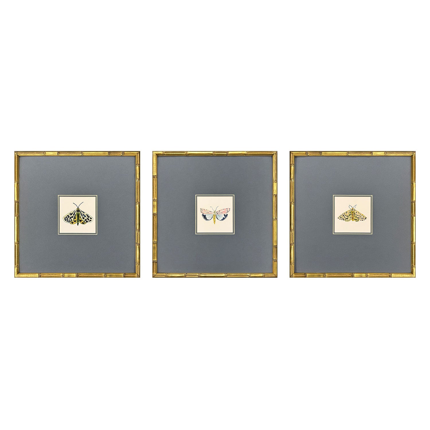 Zaman Pastel Moths I Framed Artwork Set of 3