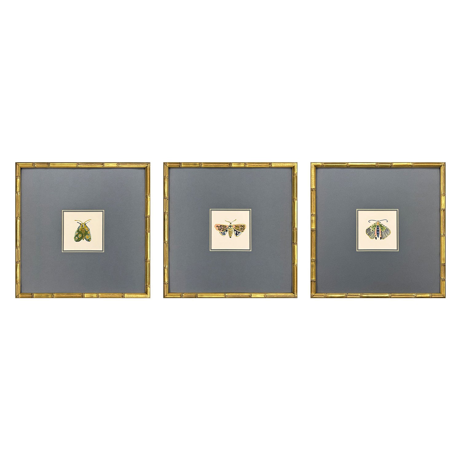Zaman Pastel Moths II Framed Artwork Set of 3