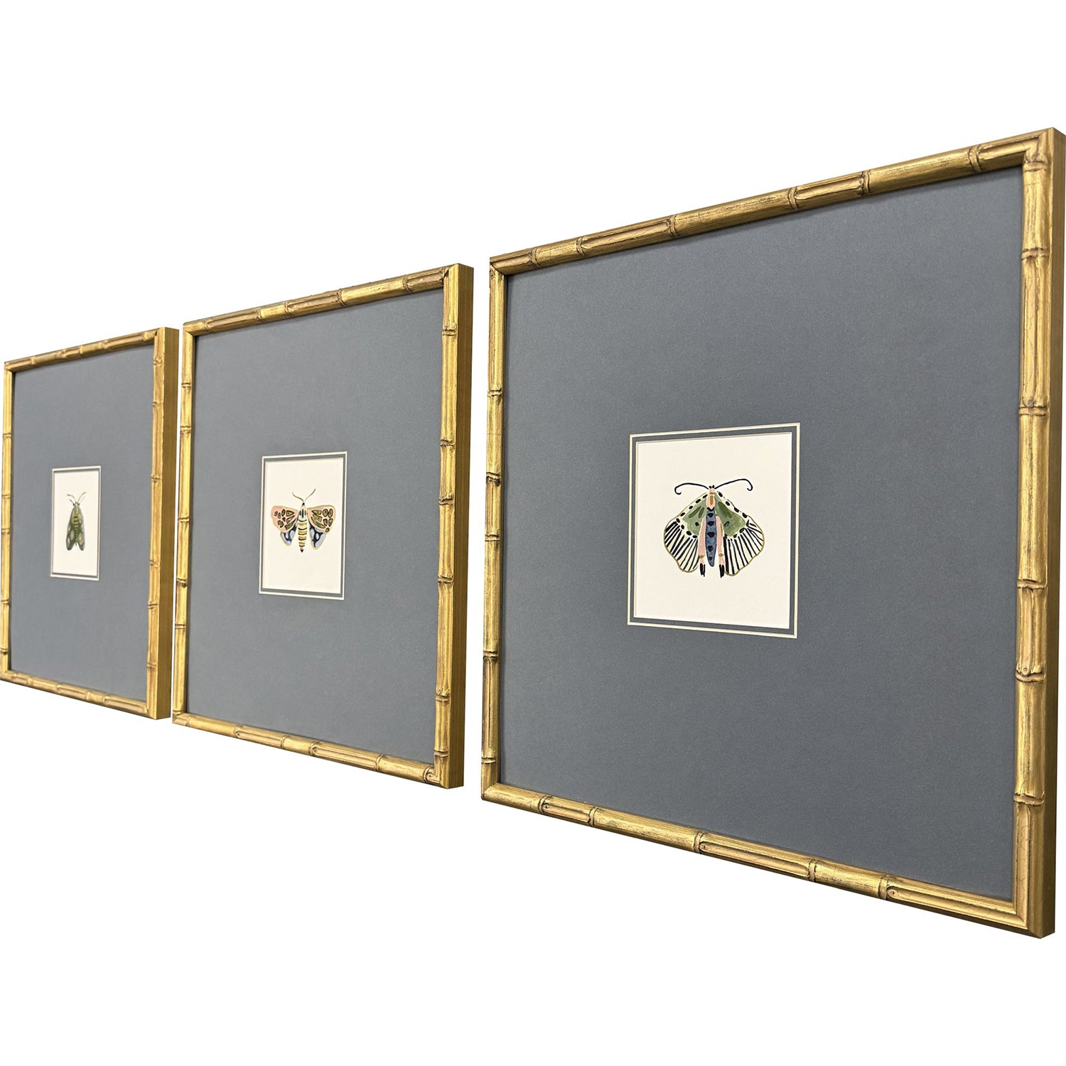 Zaman Pastel Moths II Framed Artwork Set of 3