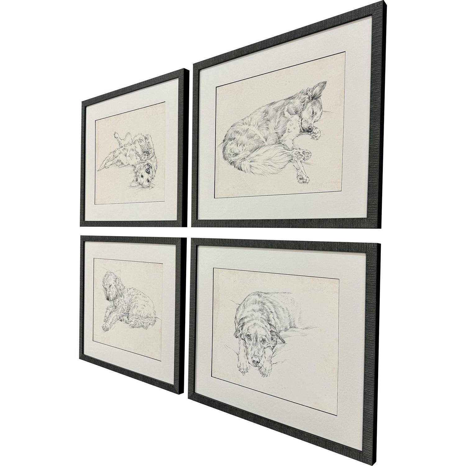 Harper Antique Dog Sketch Framed Artwork Set of 4