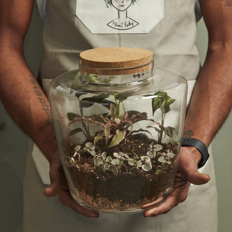 Message Terrarium, clear glass terrarium with cork lid