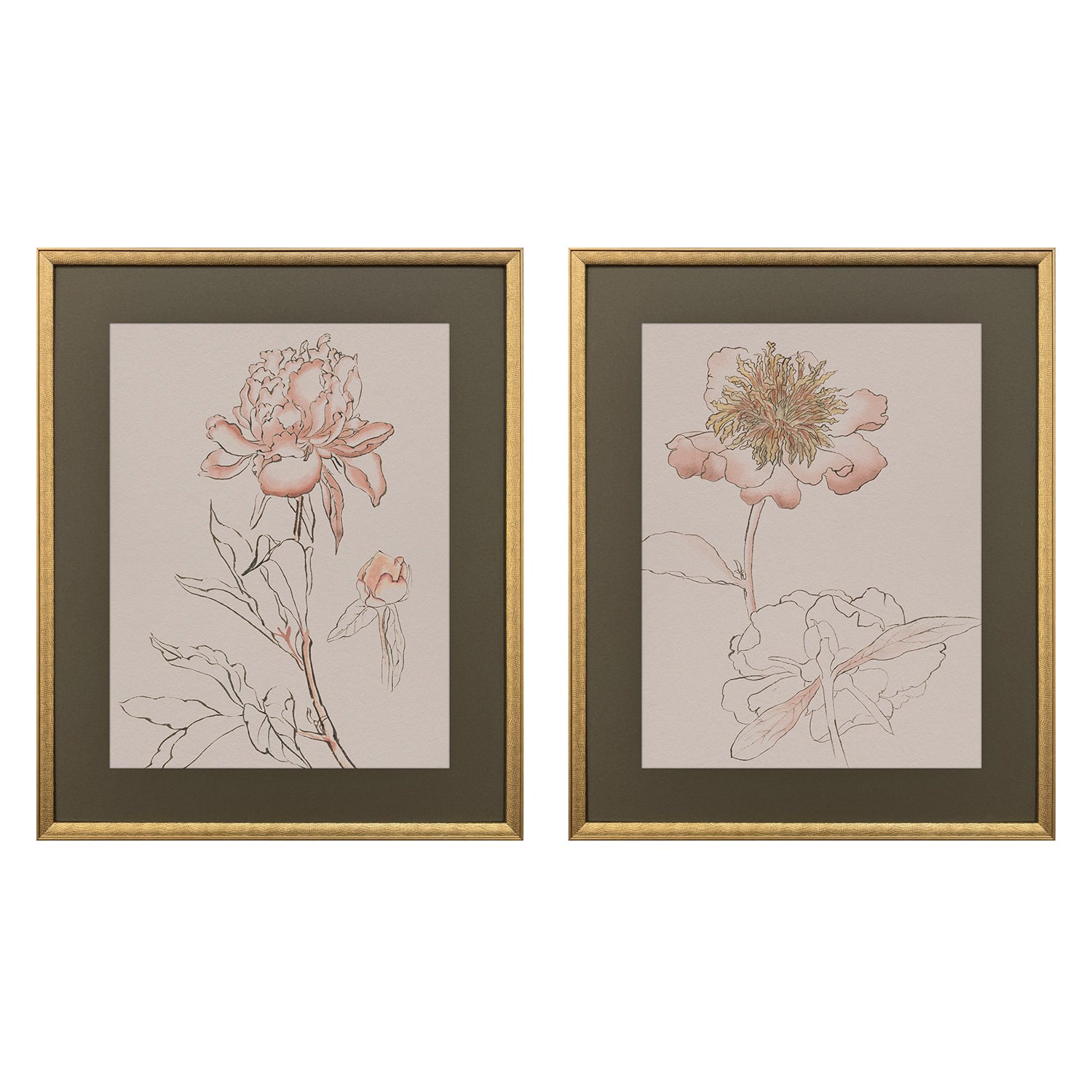 Sarah Lang Delicate Sketch I Framed Art Set of 2