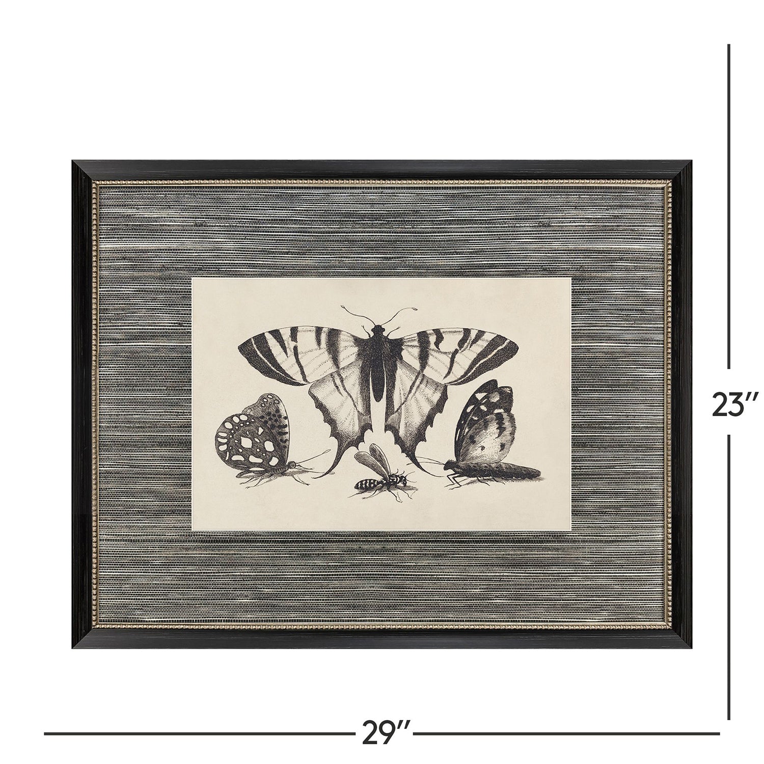 Malanta Knowles Anthropod Collection Framed Art Set of 4
