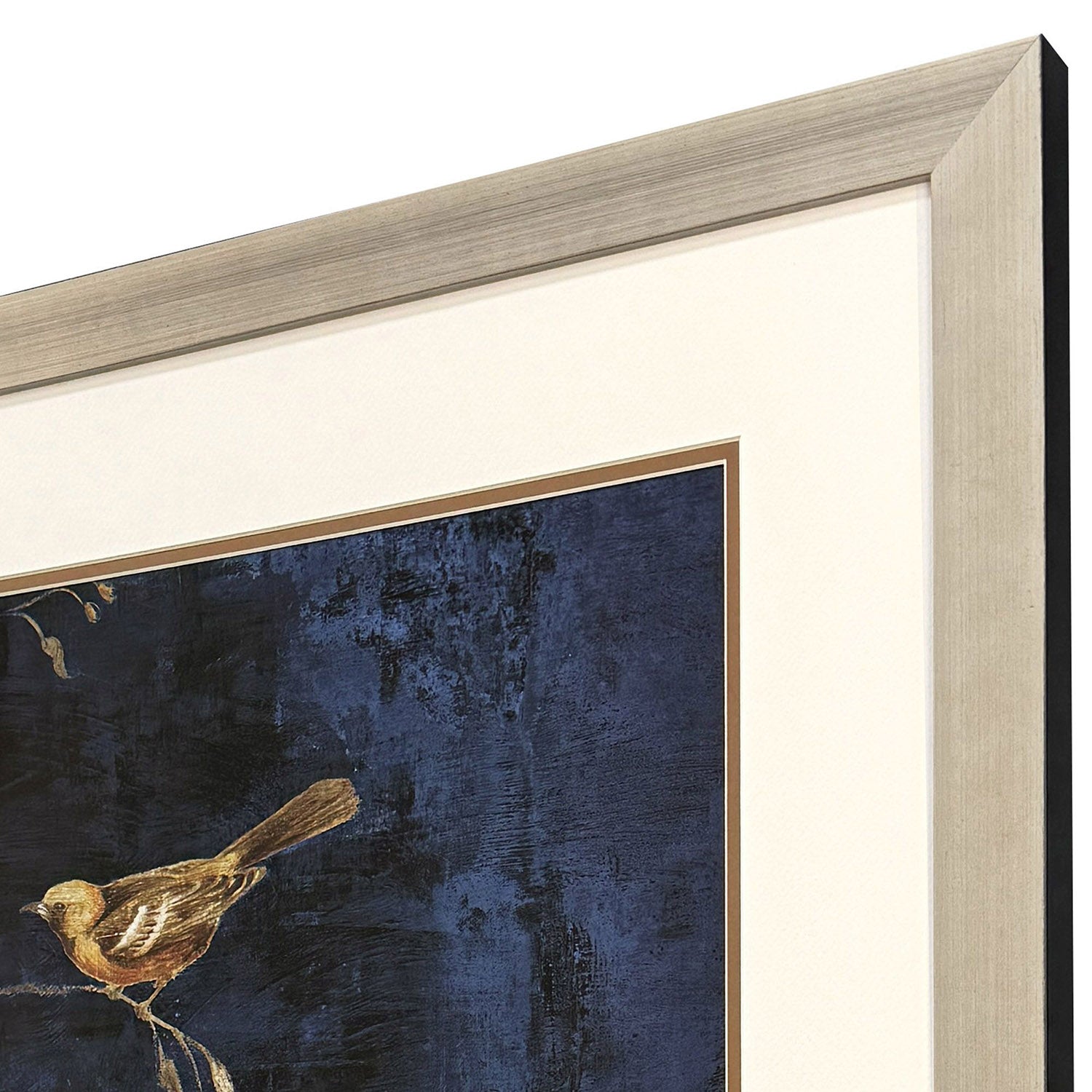 Jordan Glassco-Smith Oriole I Framed Art