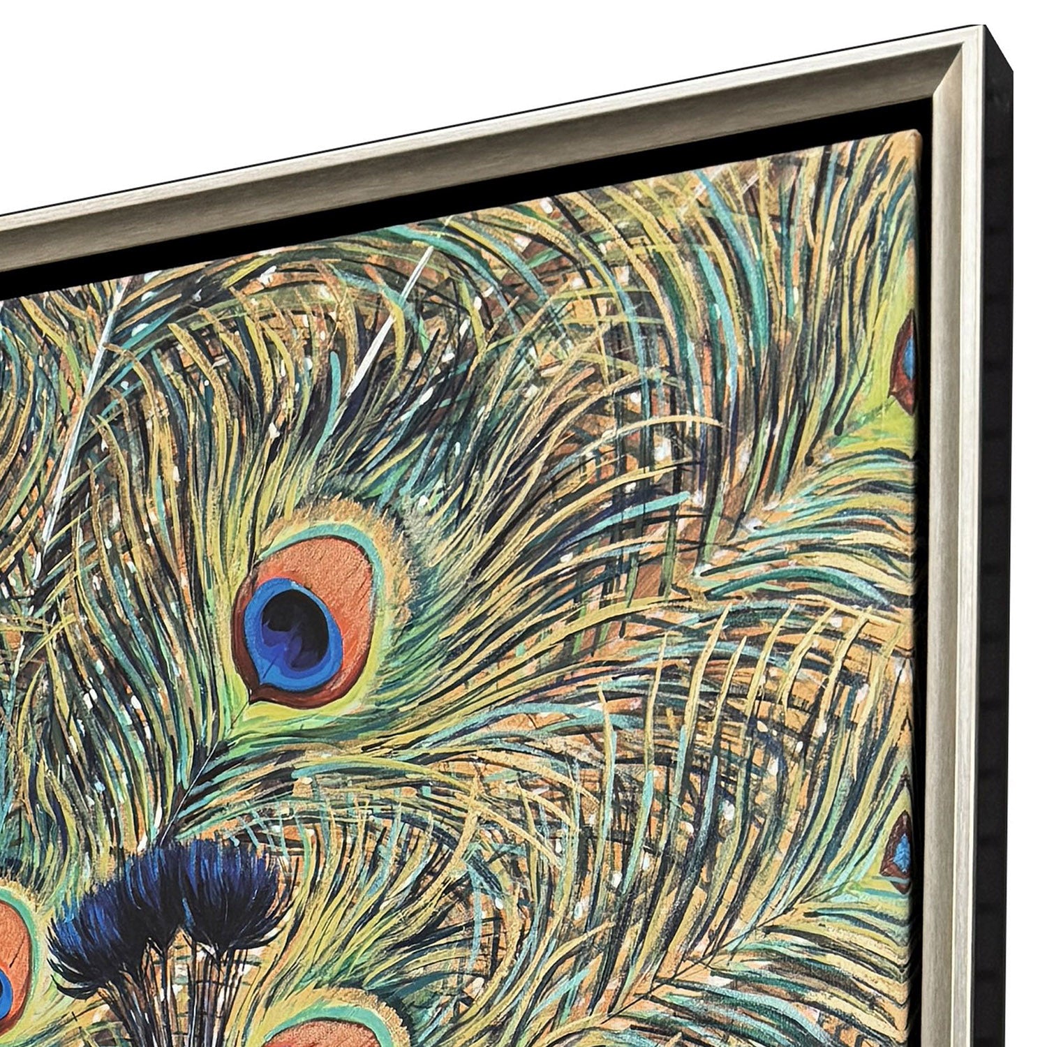 Jordan Glassco-Smith Peacock Plumage Canvas Art