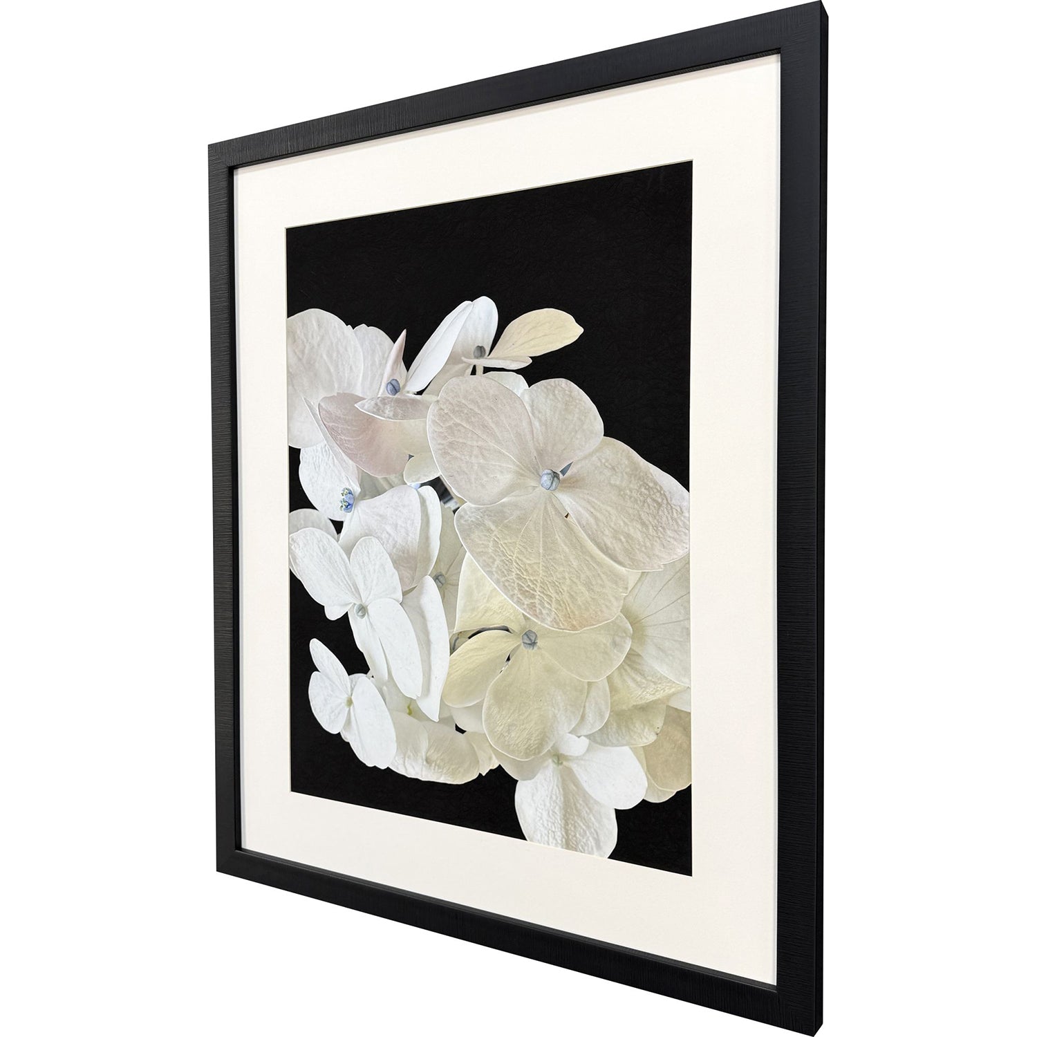Libby Langdon Modern Hydrangea I Framed Art