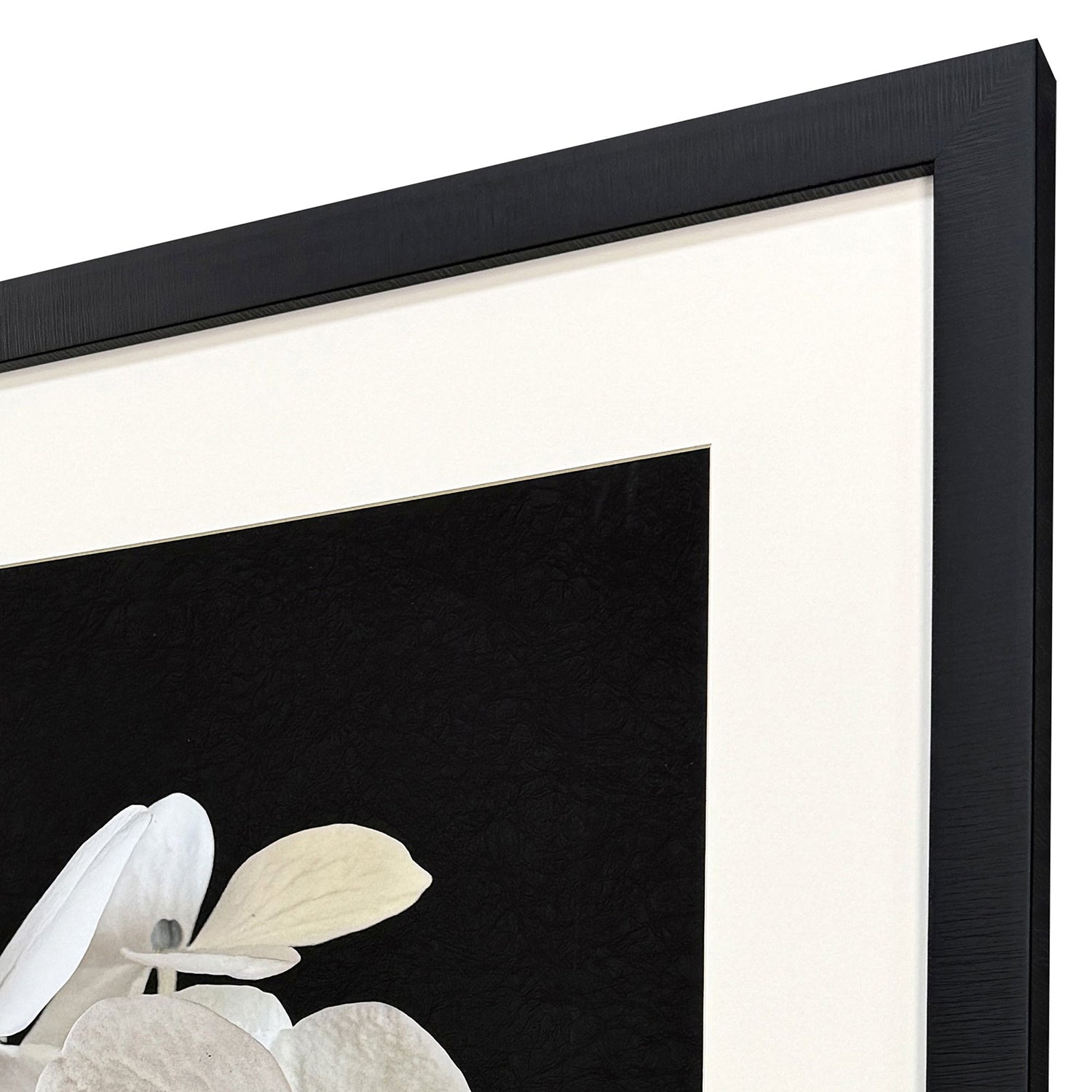 Libby Langdon Modern Hydrangea I Framed Art